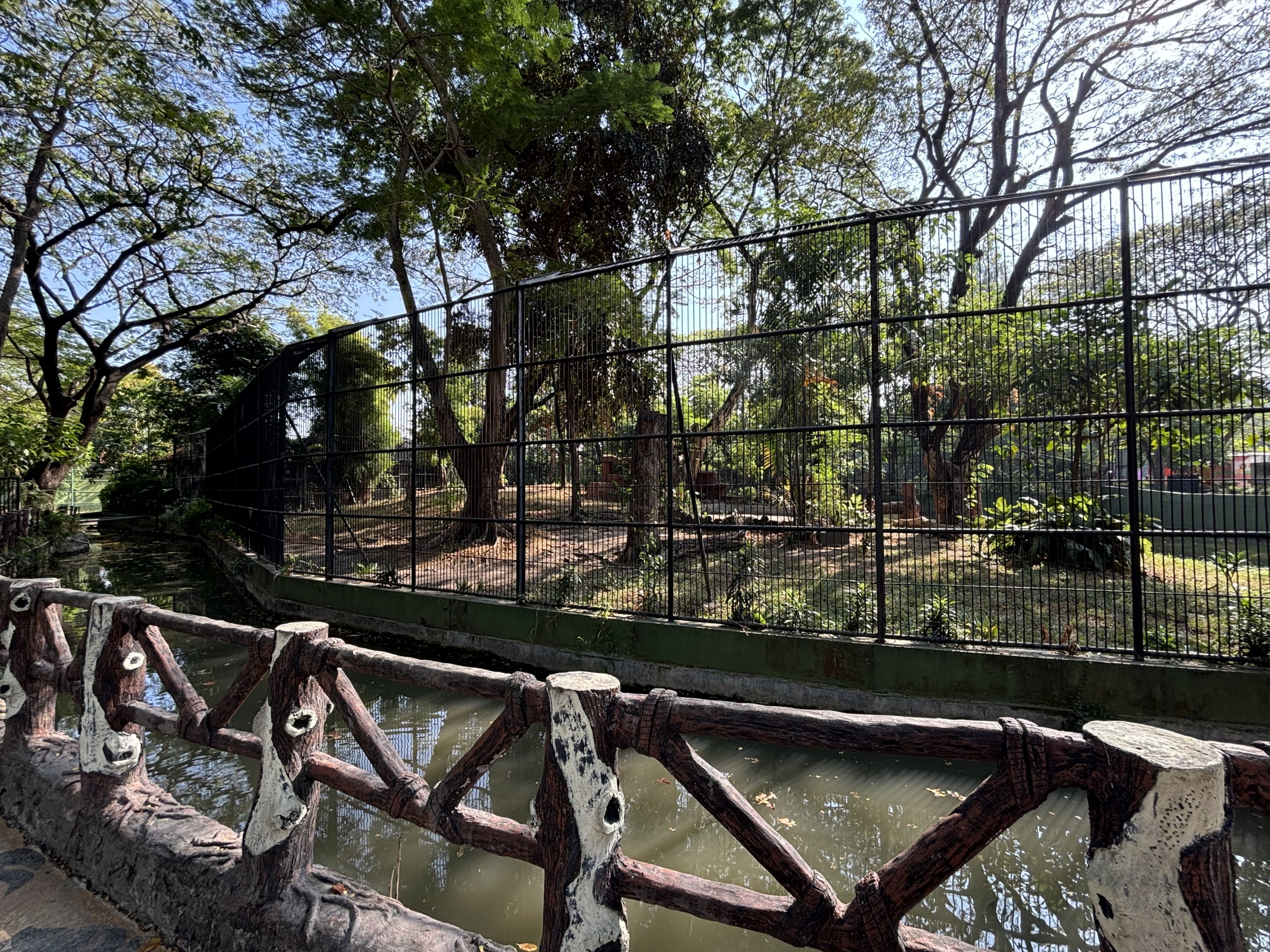 Tiger Exhibit #1 - Bengal