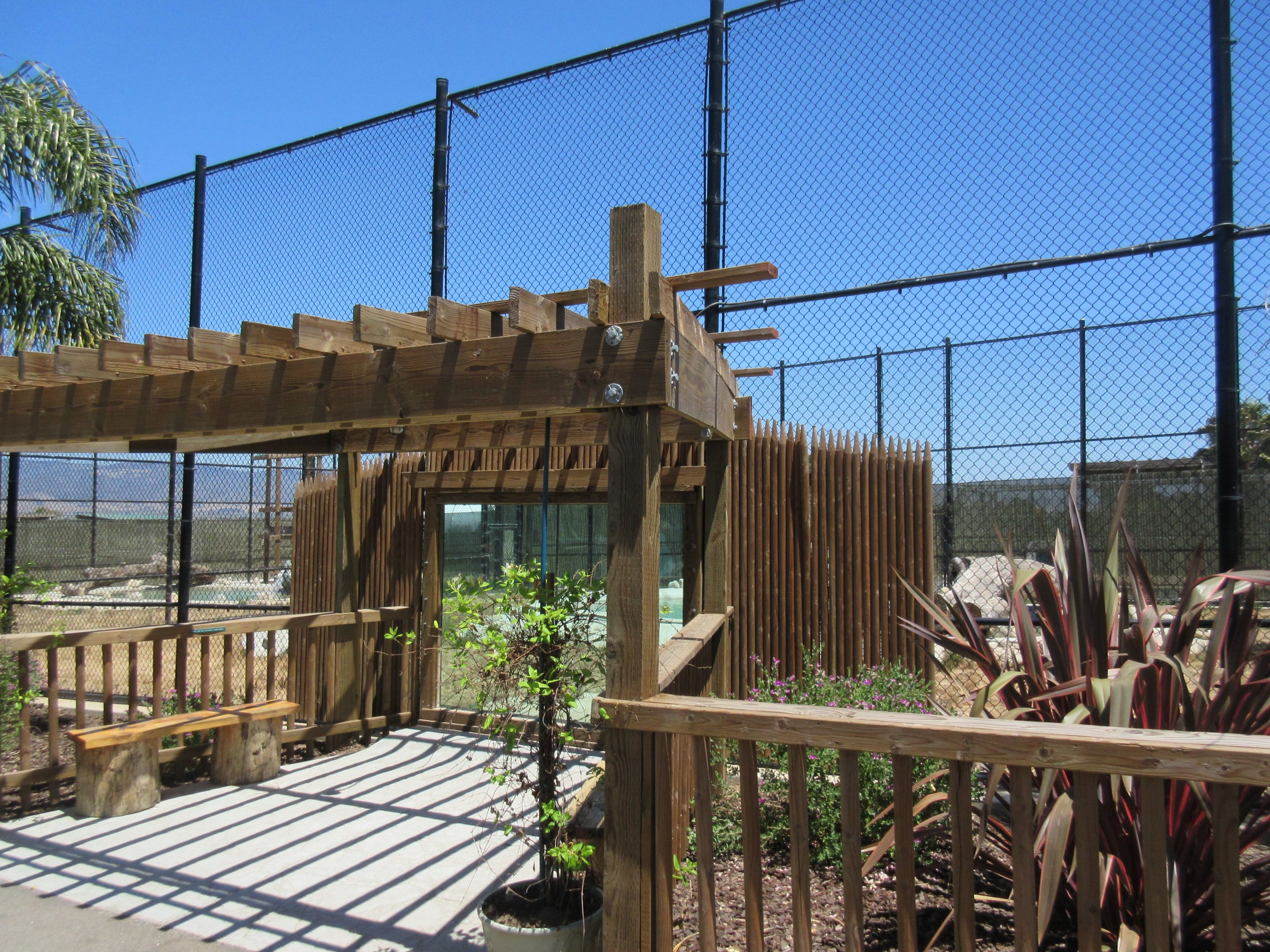 Tiger Exhibit #1 (New in 2015)