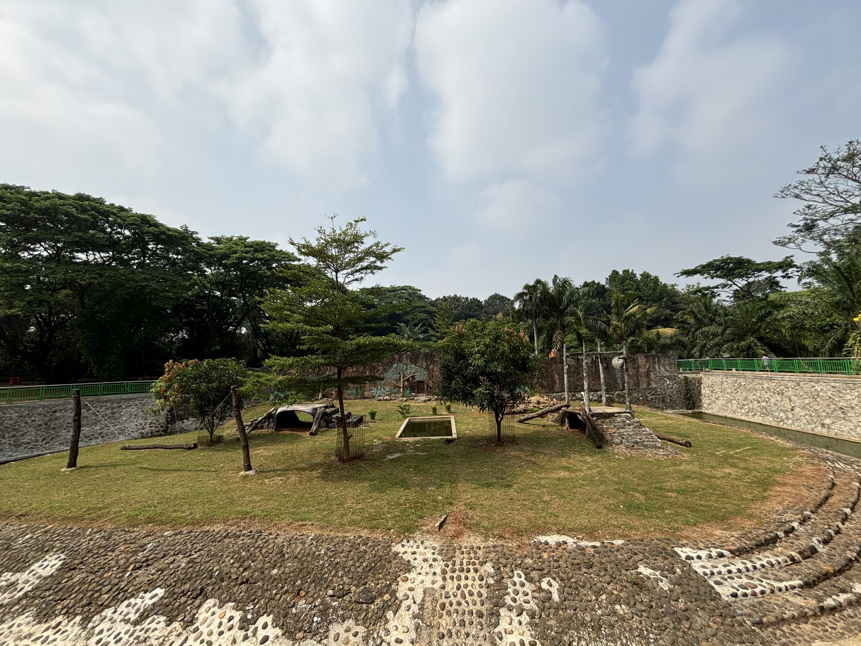 Tiger Exhibit #14 - Bengal