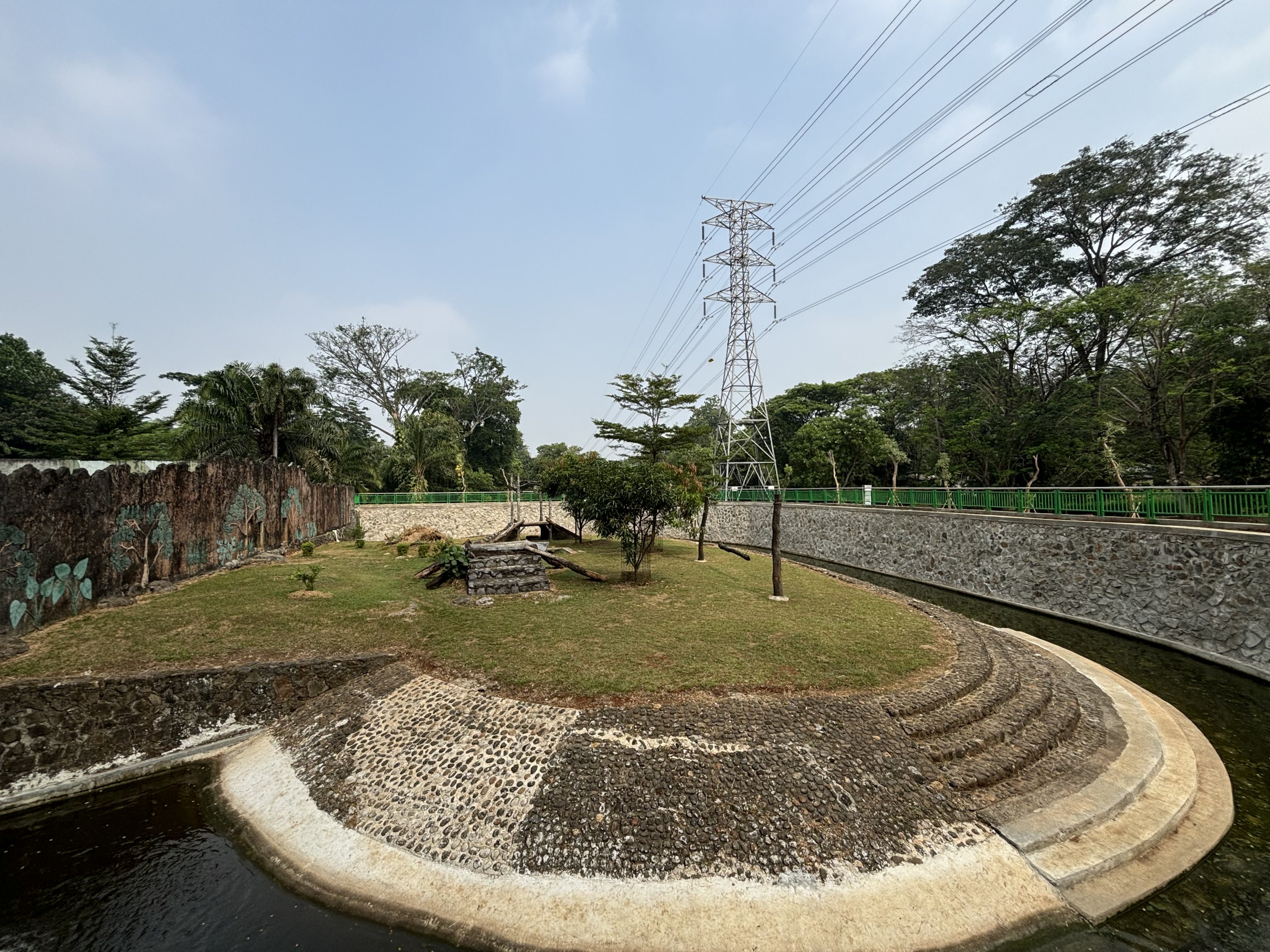 Tiger Exhibit #14 - Bengal