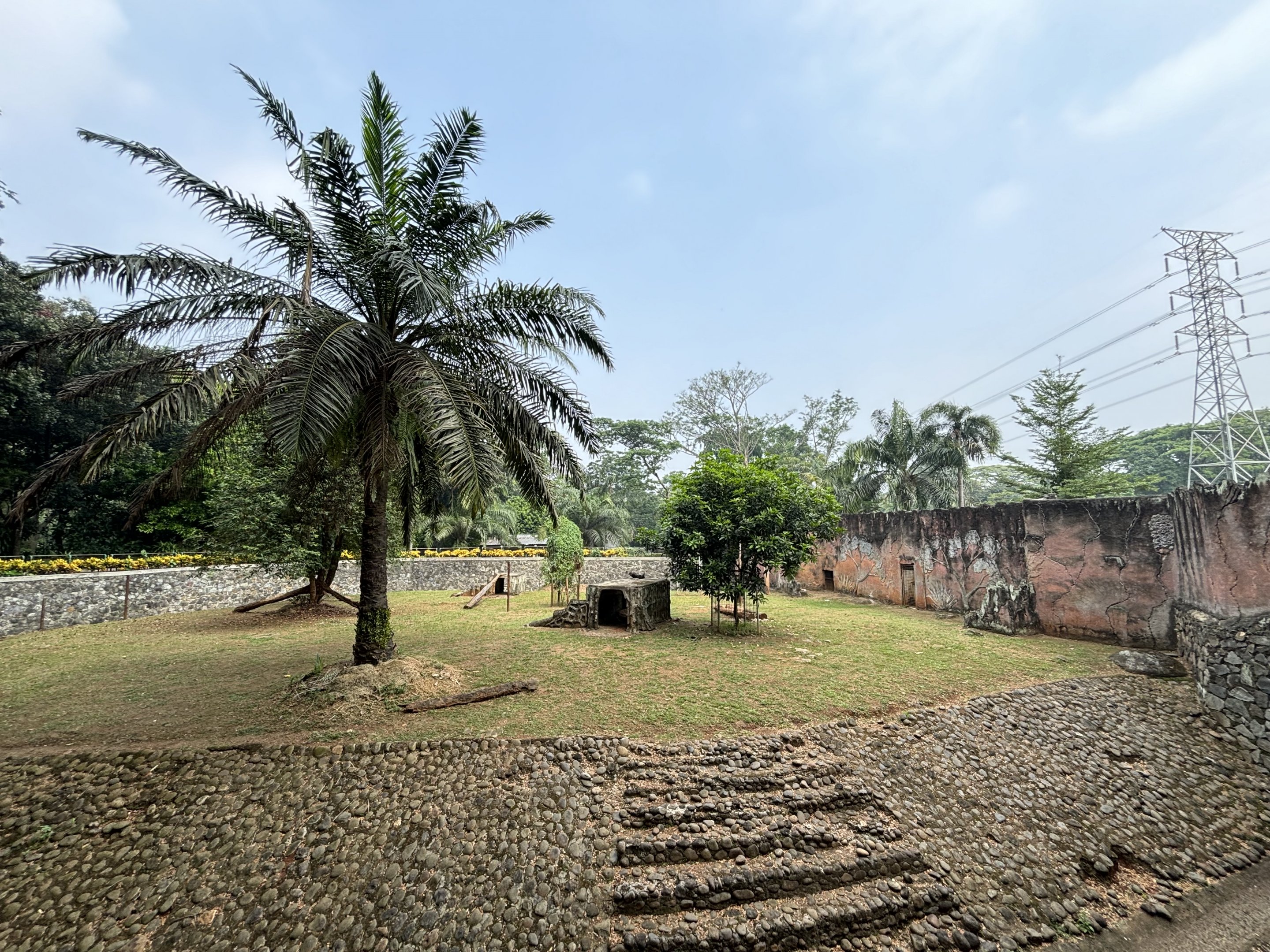 Tiger Exhibit #14 - Bengal