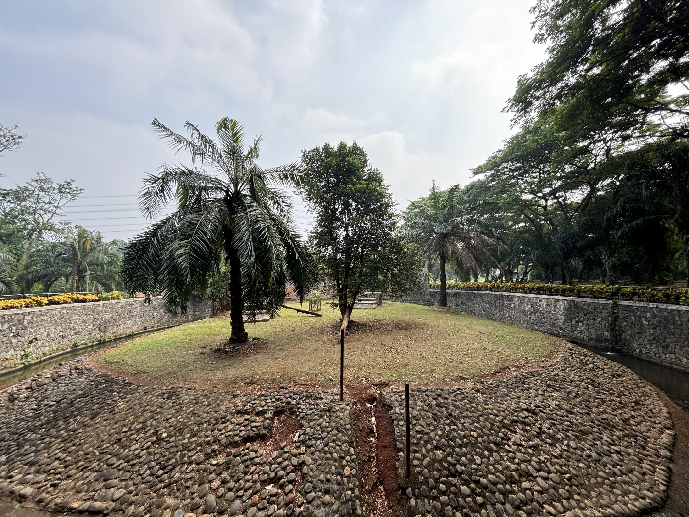 Tiger Exhibit #15 - Bengal