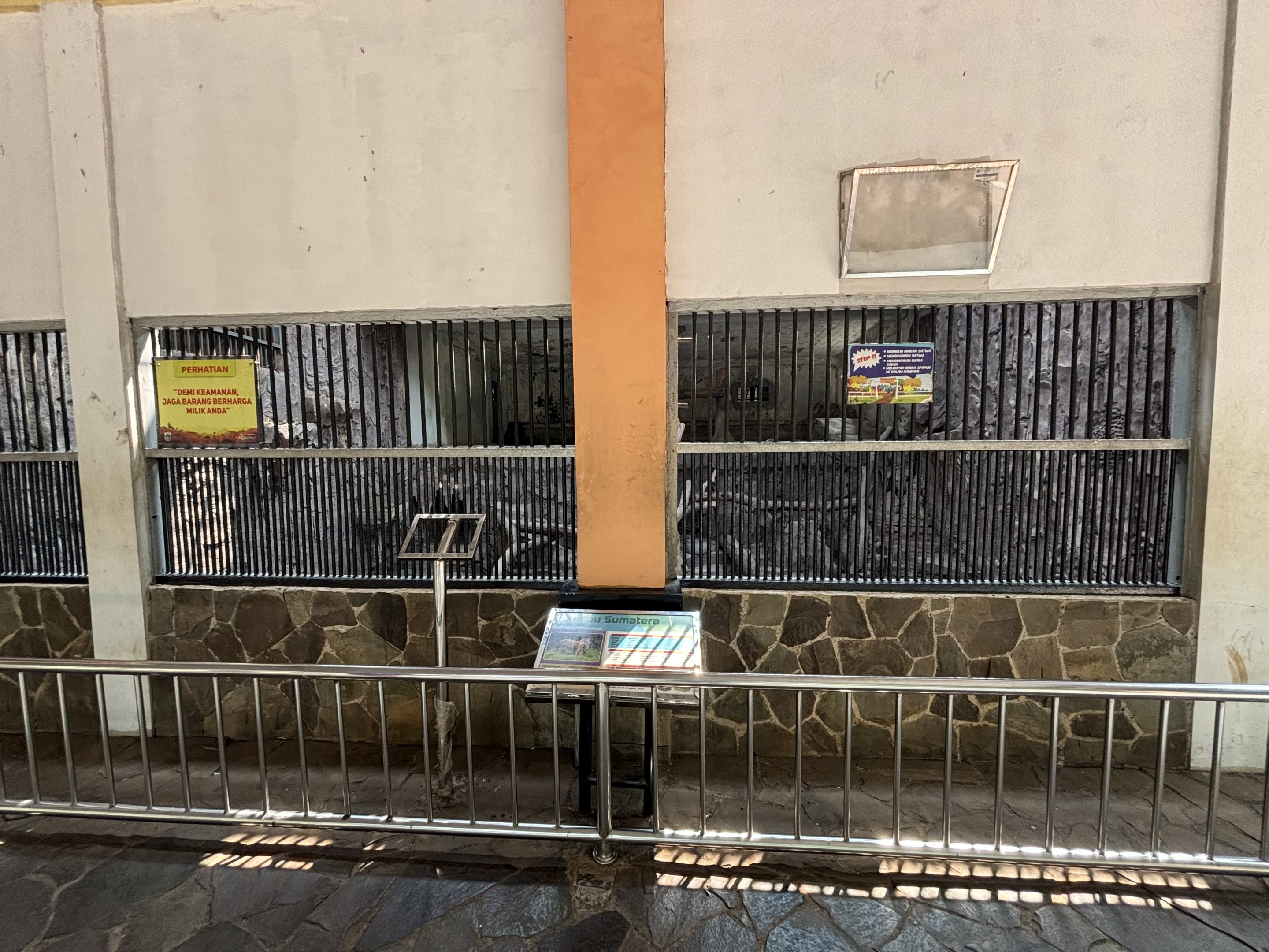 Tiger Exhibit #17 - Sumatran