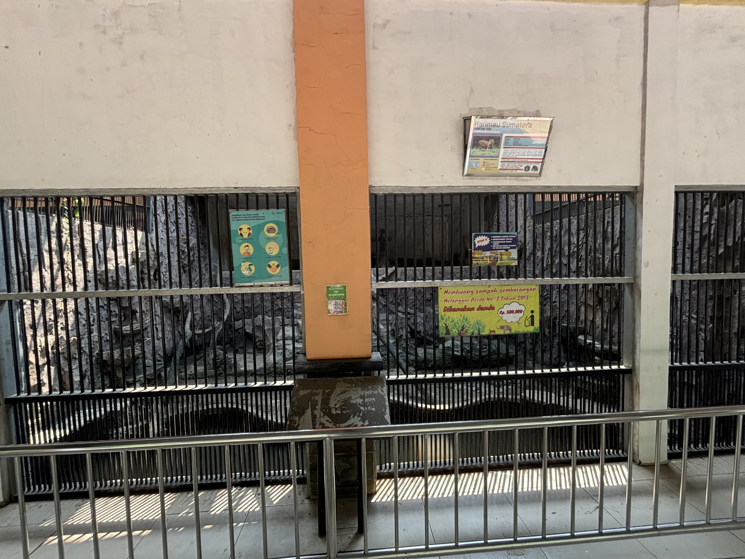 Tiger Exhibit #18 - Sumatran