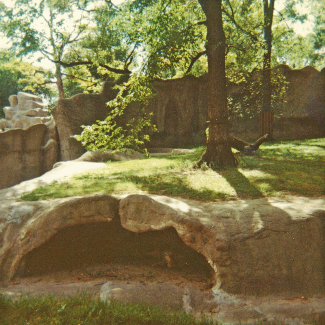 Tiger Exhibit 1966