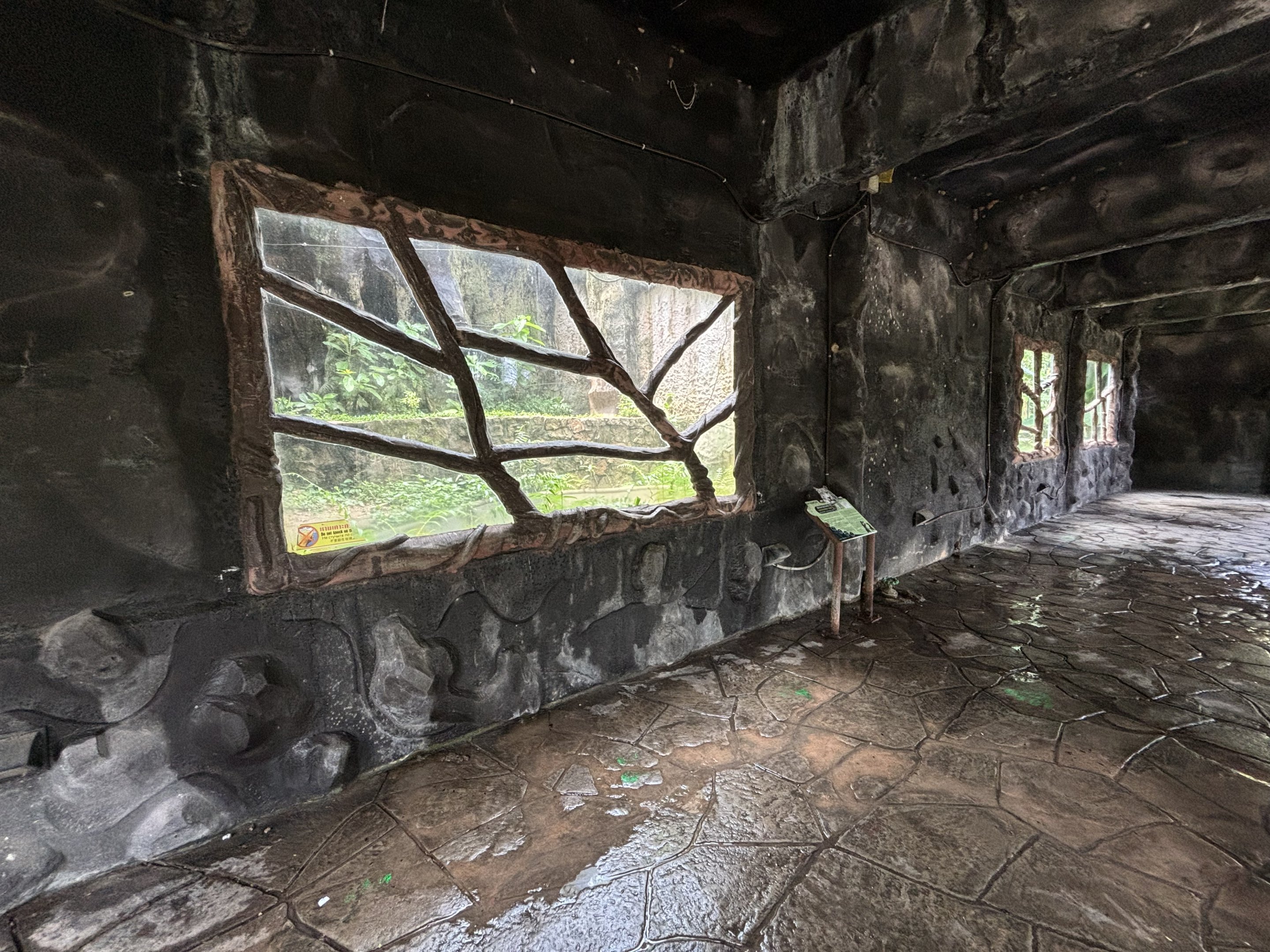 Tiger Exhibit #2 - Indochinese