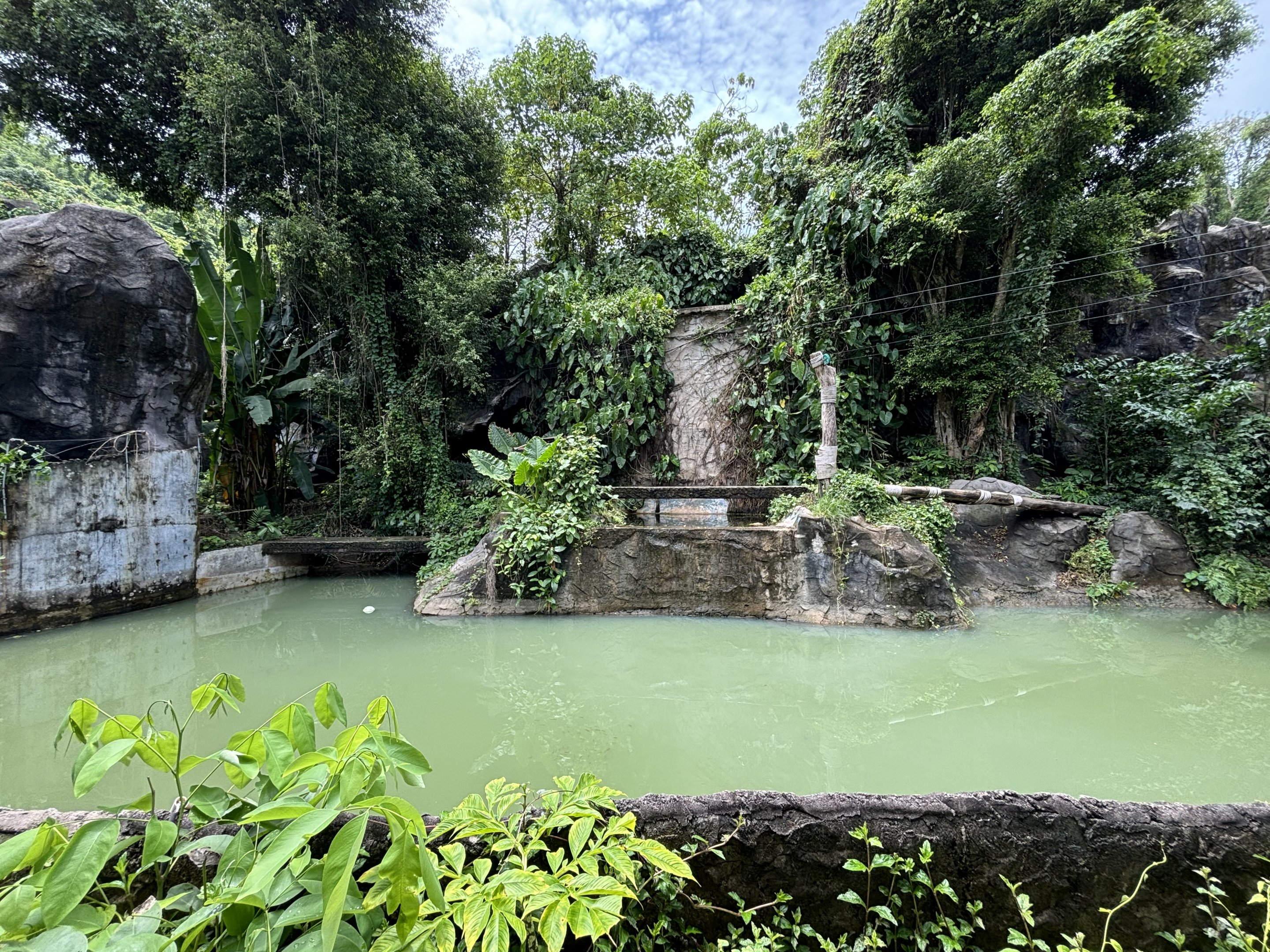 Tiger Exhibit #2 - Indochinese