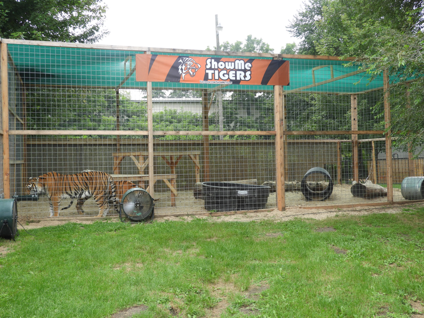 Tiger exhibit #2 (New in 2018) - Show Me Tigers - Circus World Museum