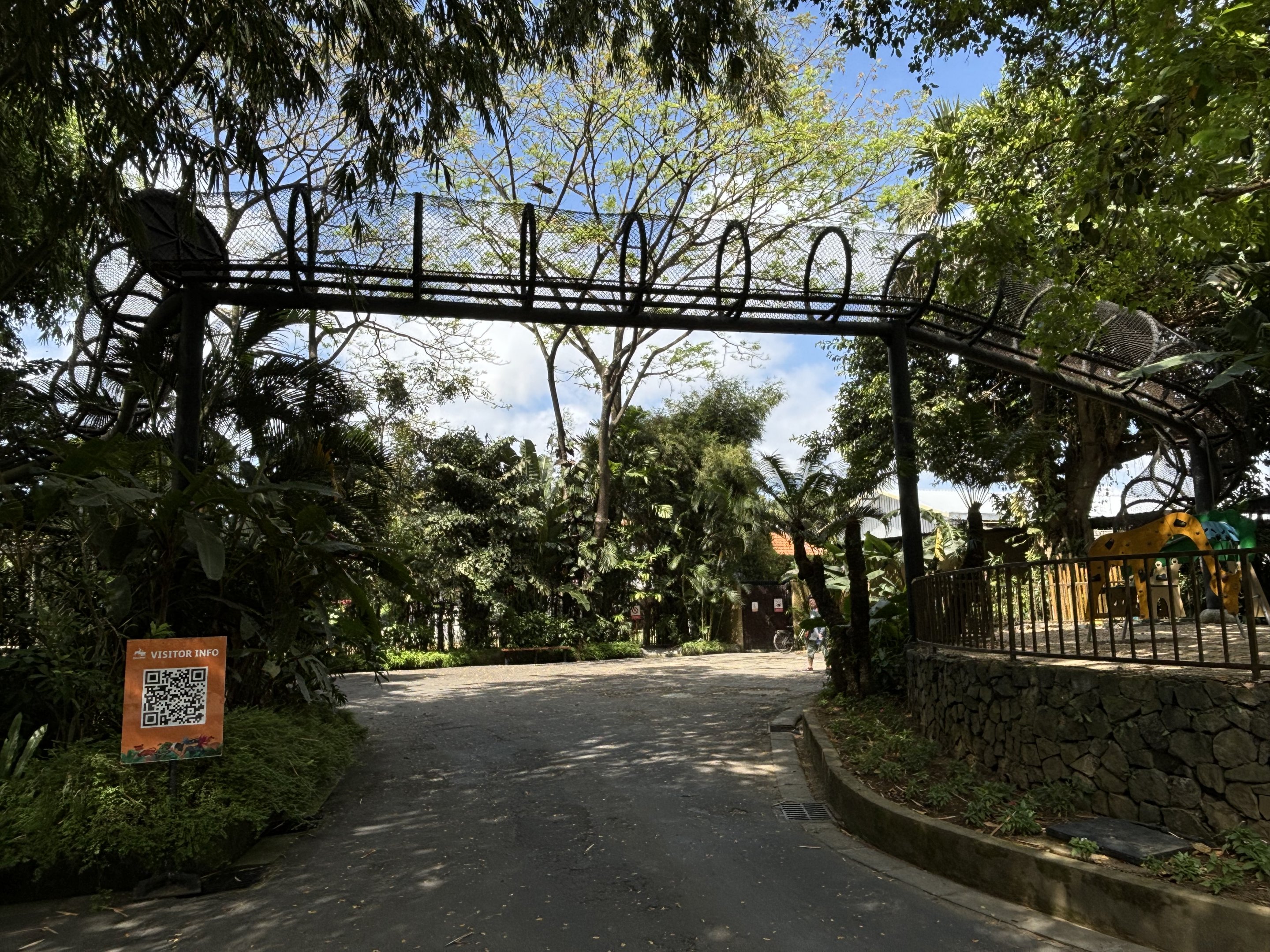 Tiger Exhibit #2 - overhead tunnel