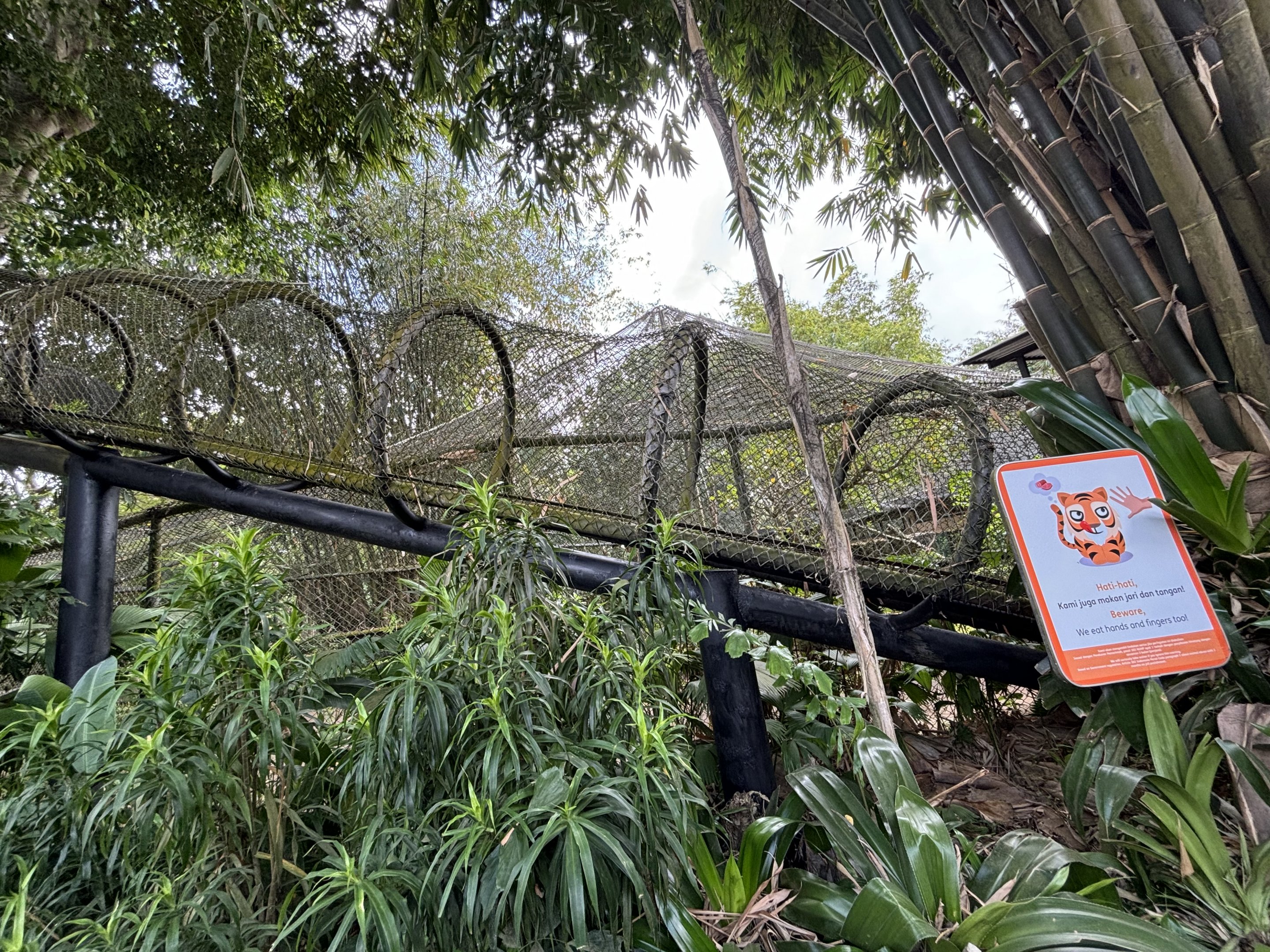Tiger Exhibit #2 - overhead tunnel