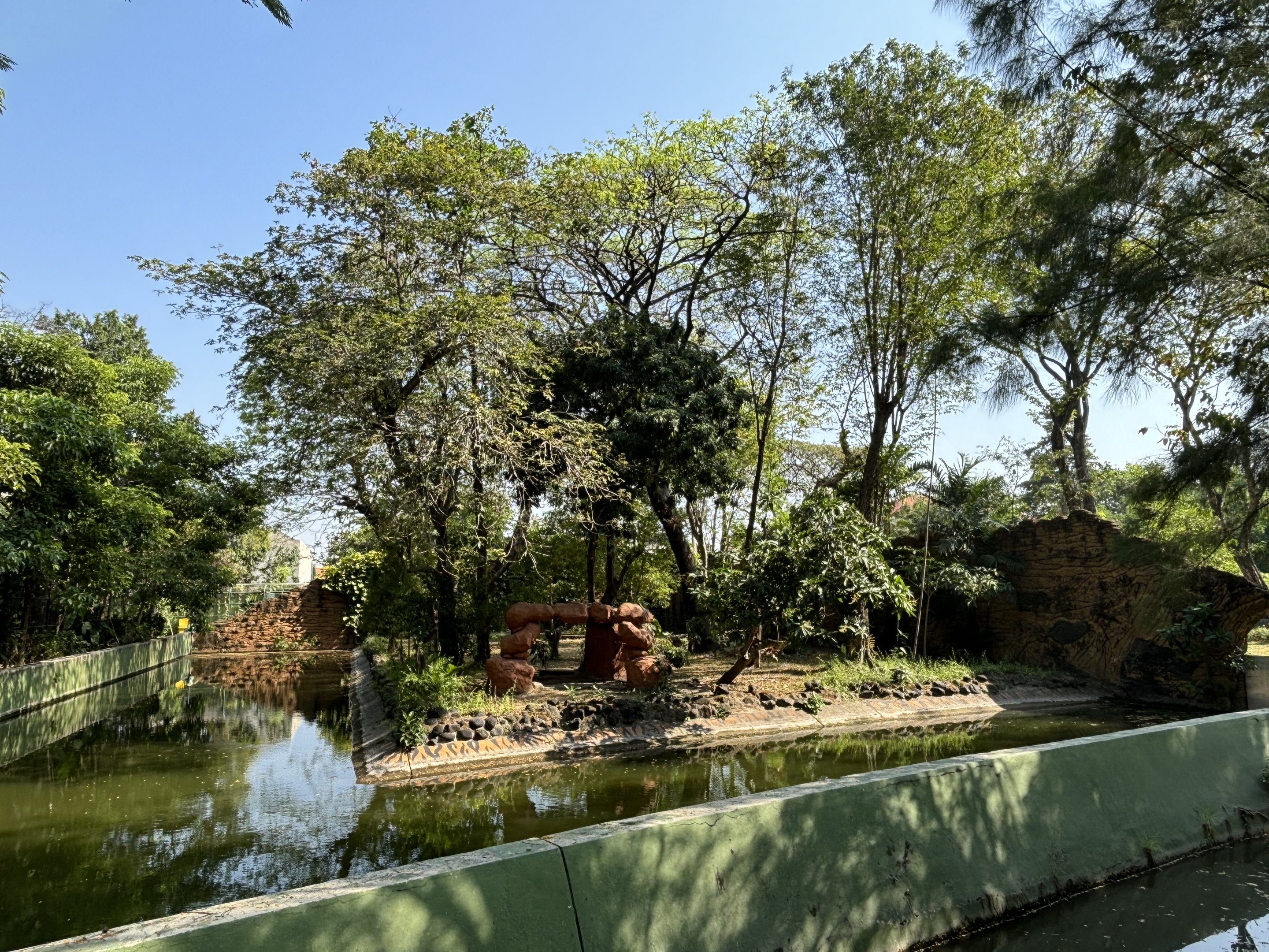 Tiger Exhibit #2 - Sumatran