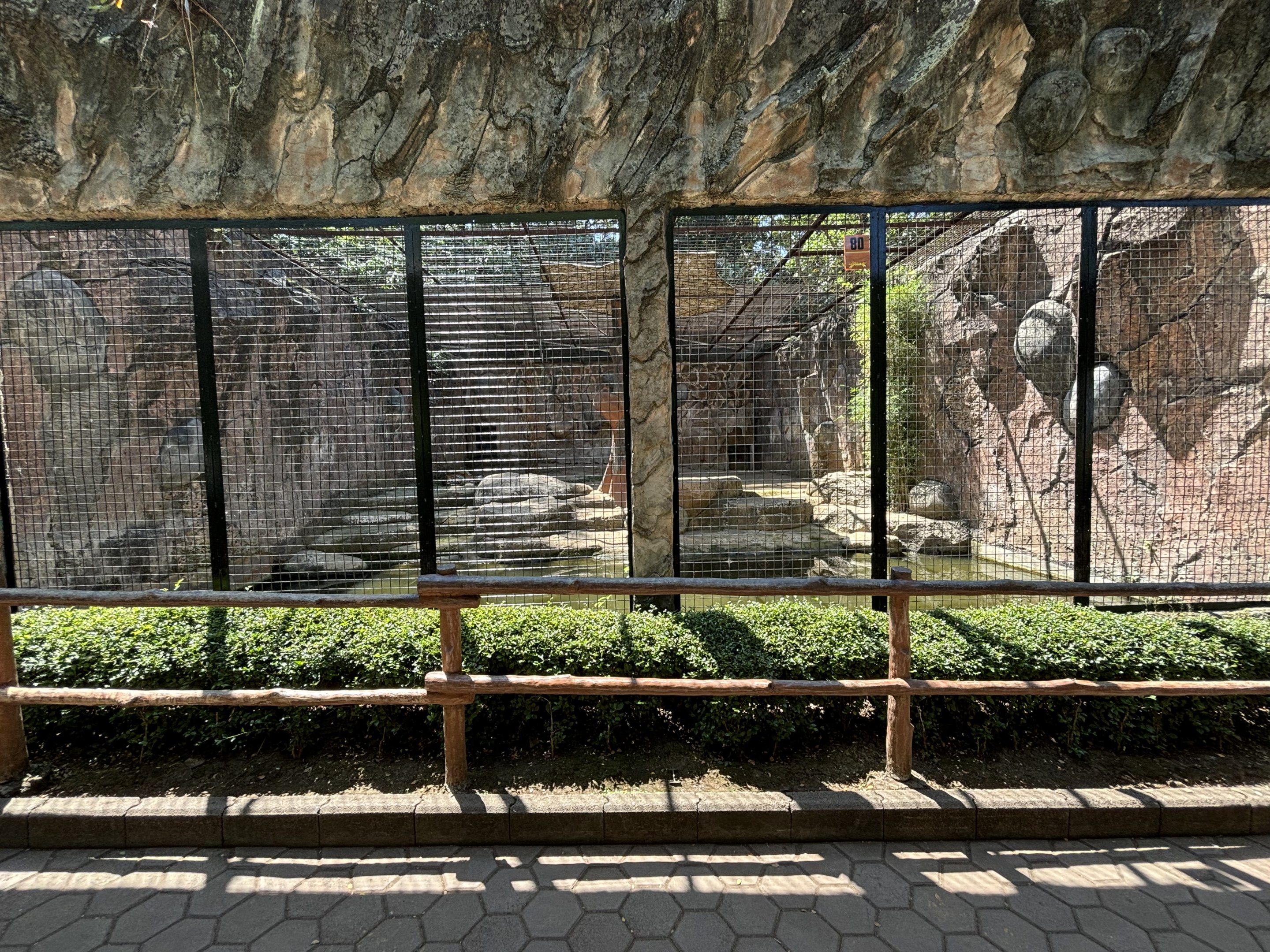 Tiger Exhibit #3 - Bengal