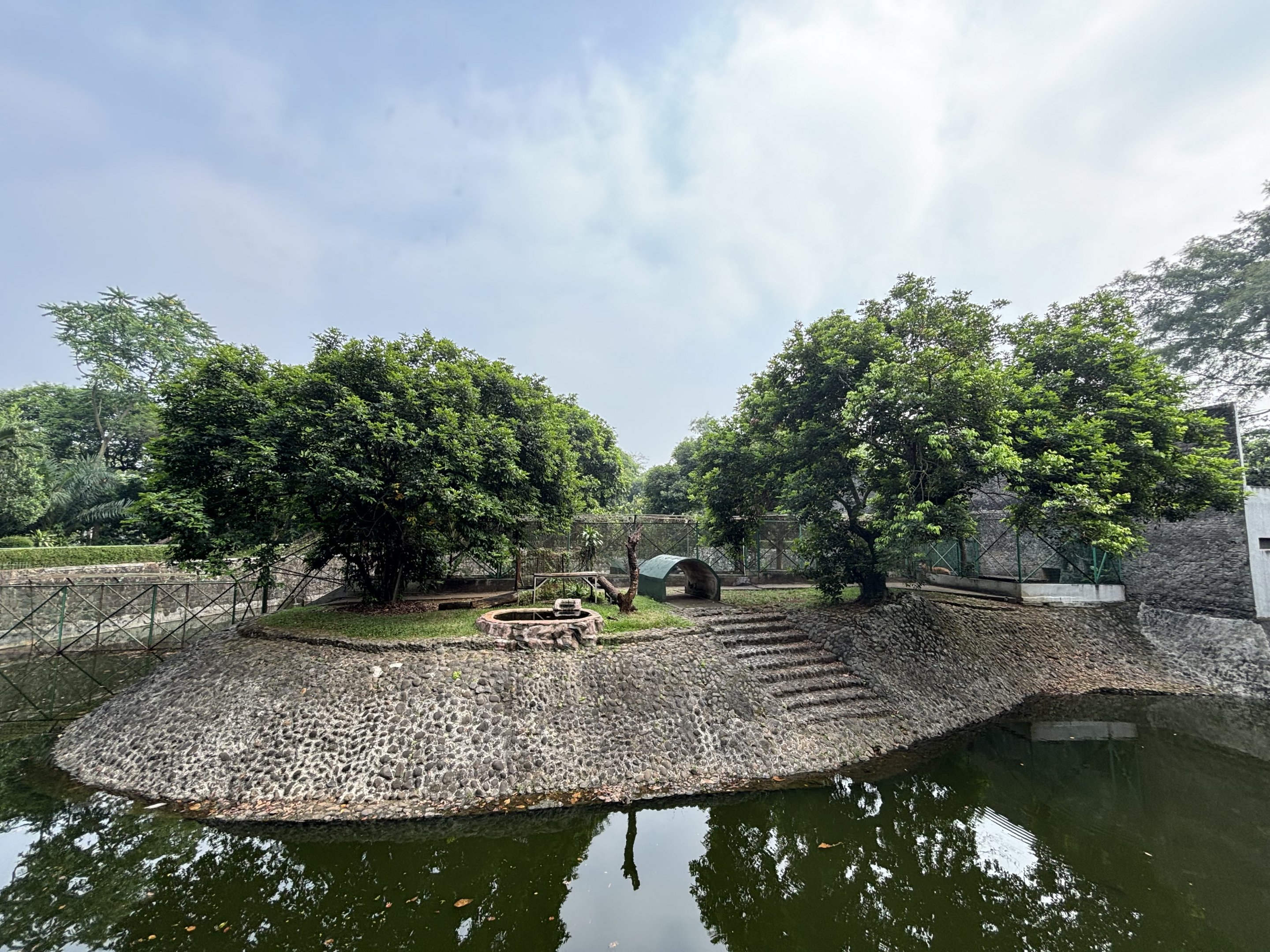 Tiger Exhibit #3 - Bengal