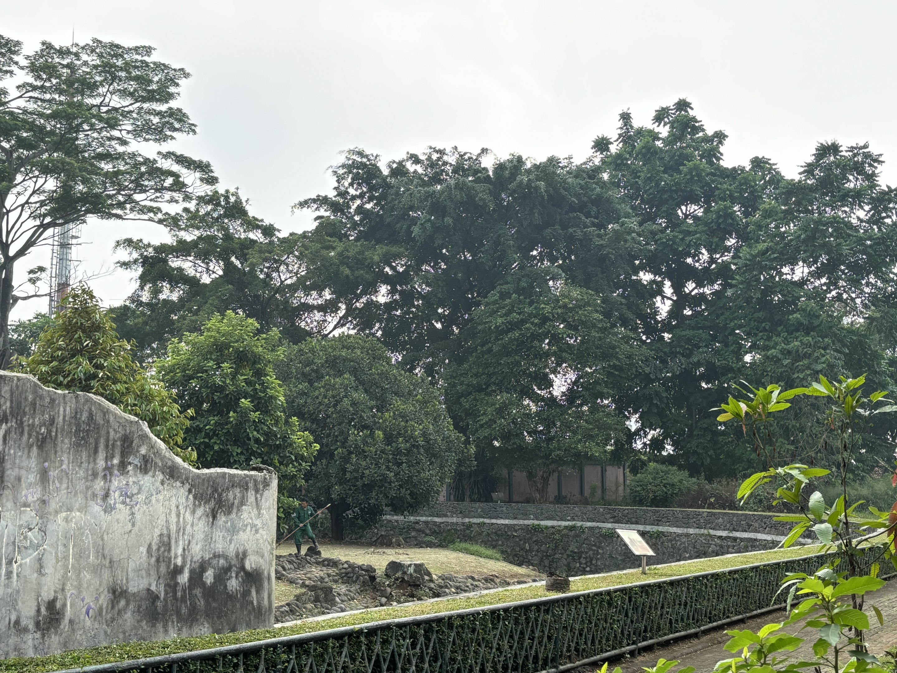Tiger Exhibit #4 - Bengal