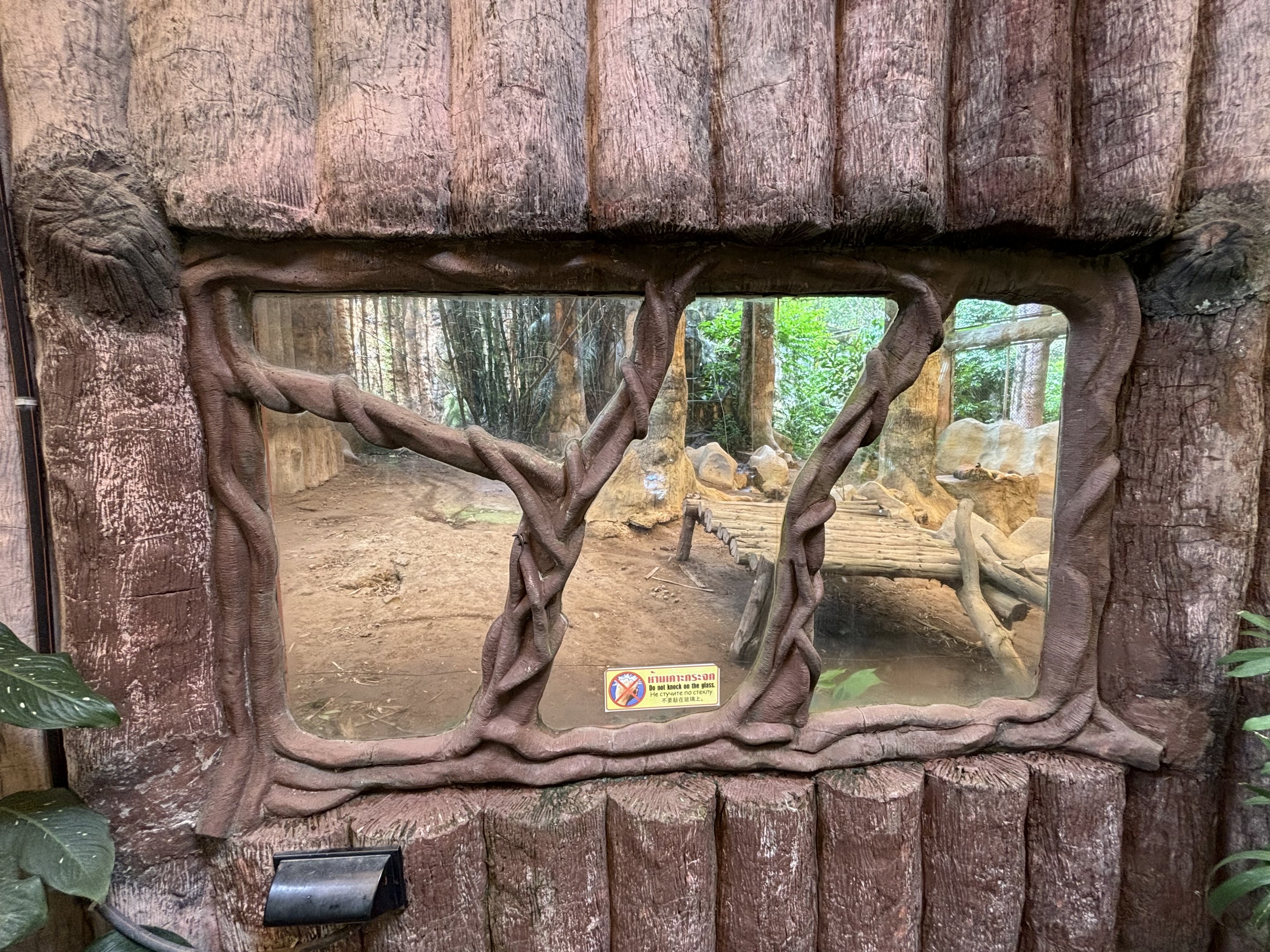 Tiger Exhibit #4 - Indochinese