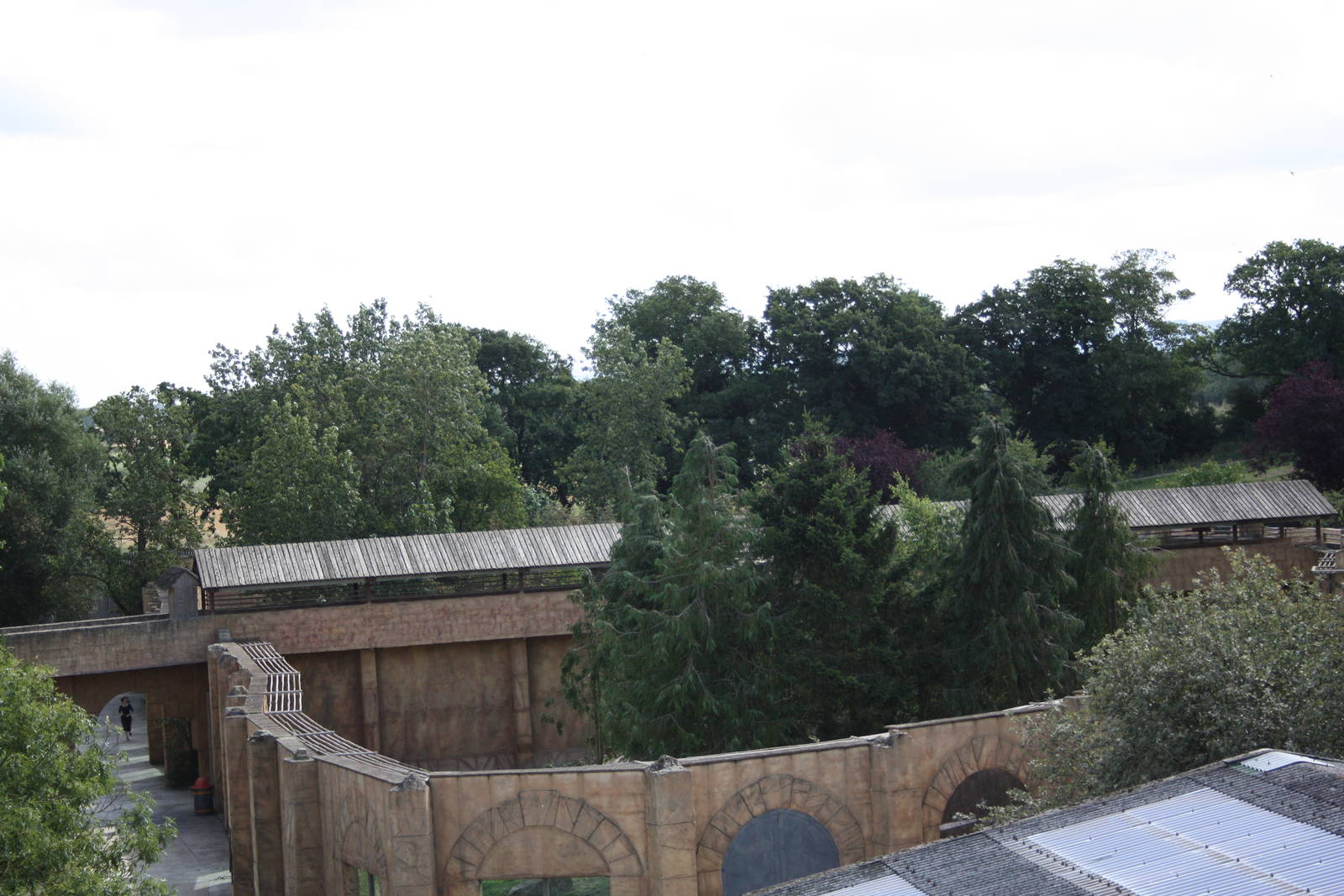 Tiger exhibit, 4th August 2014