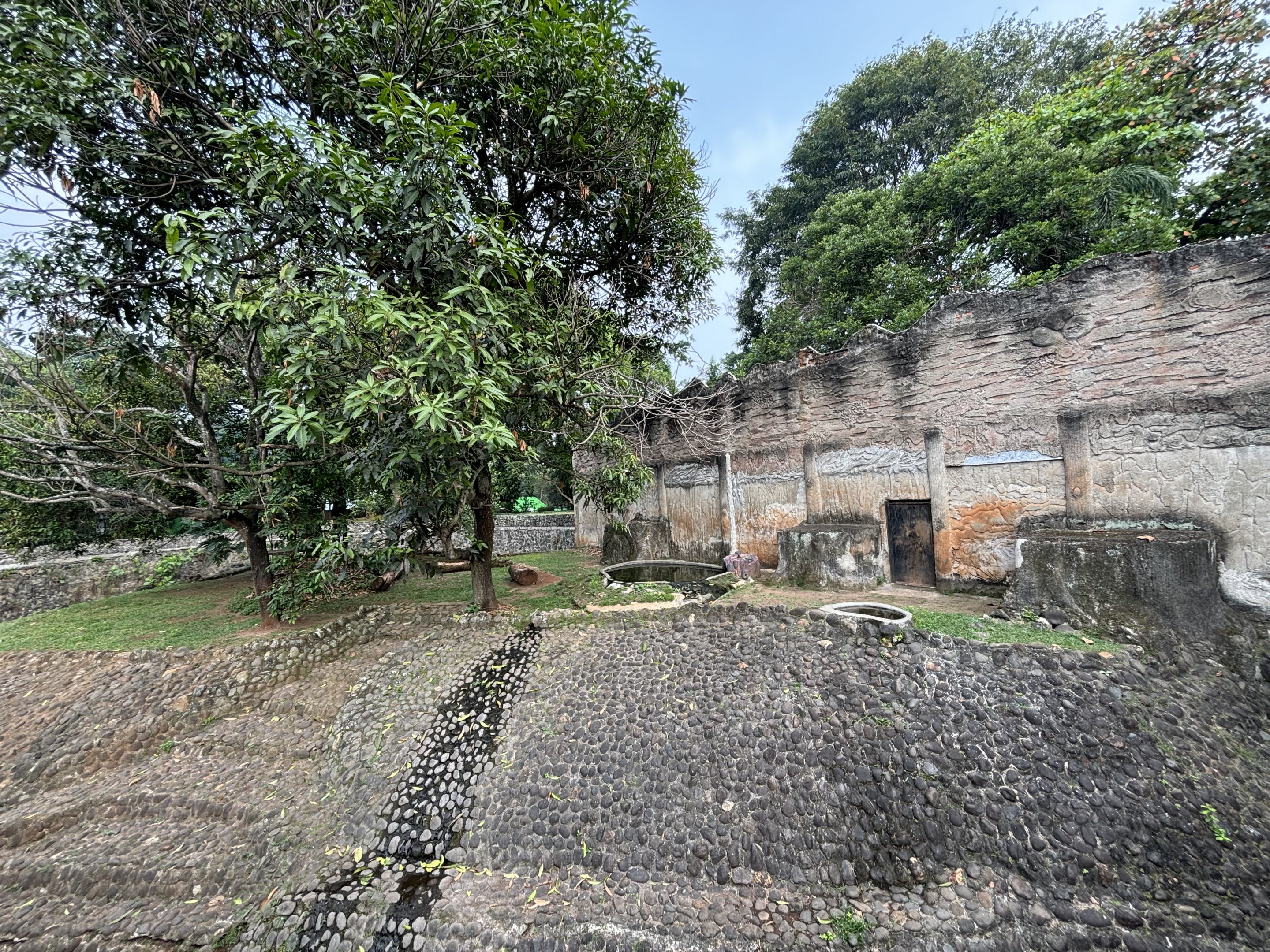 Tiger Exhibit #5 - Sumatran
