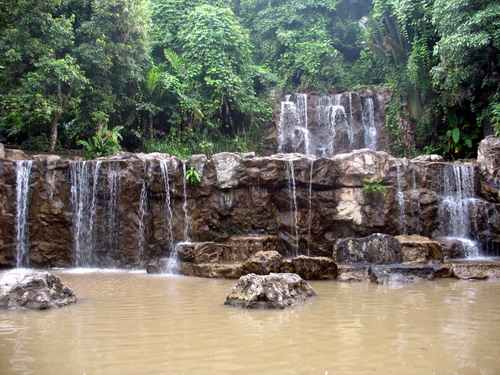 Tiger Exhibit Area: Cat's Complex