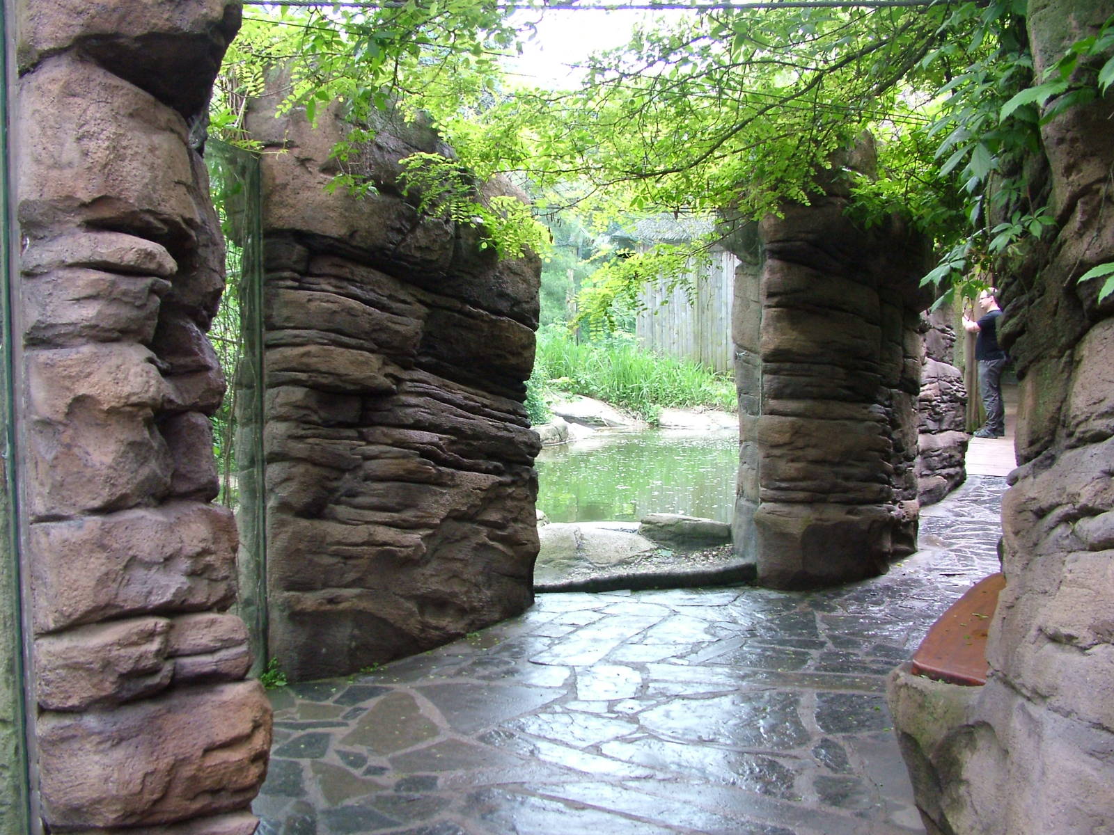 Tiger exhibit at Brno, 27/05/10