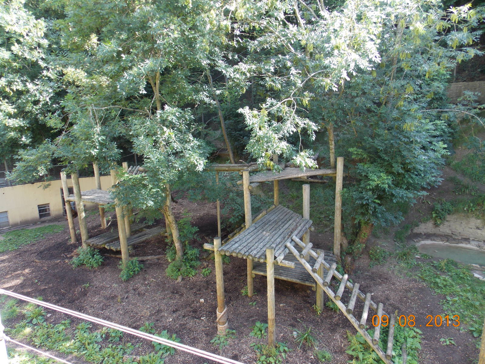 Tiger exhibit at Dudley