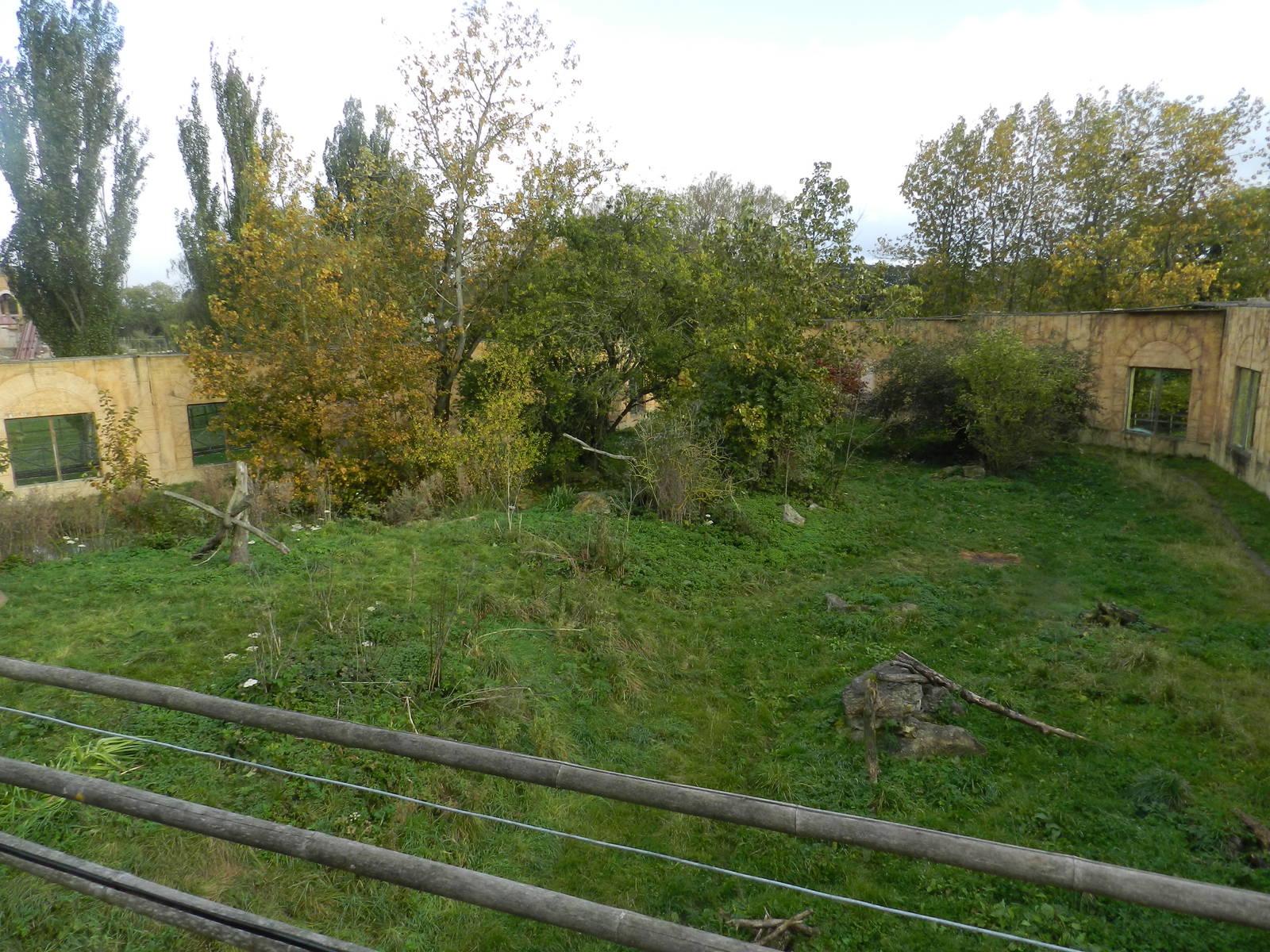 Tiger Exhibit at Flamingo Land - 14/10/2012