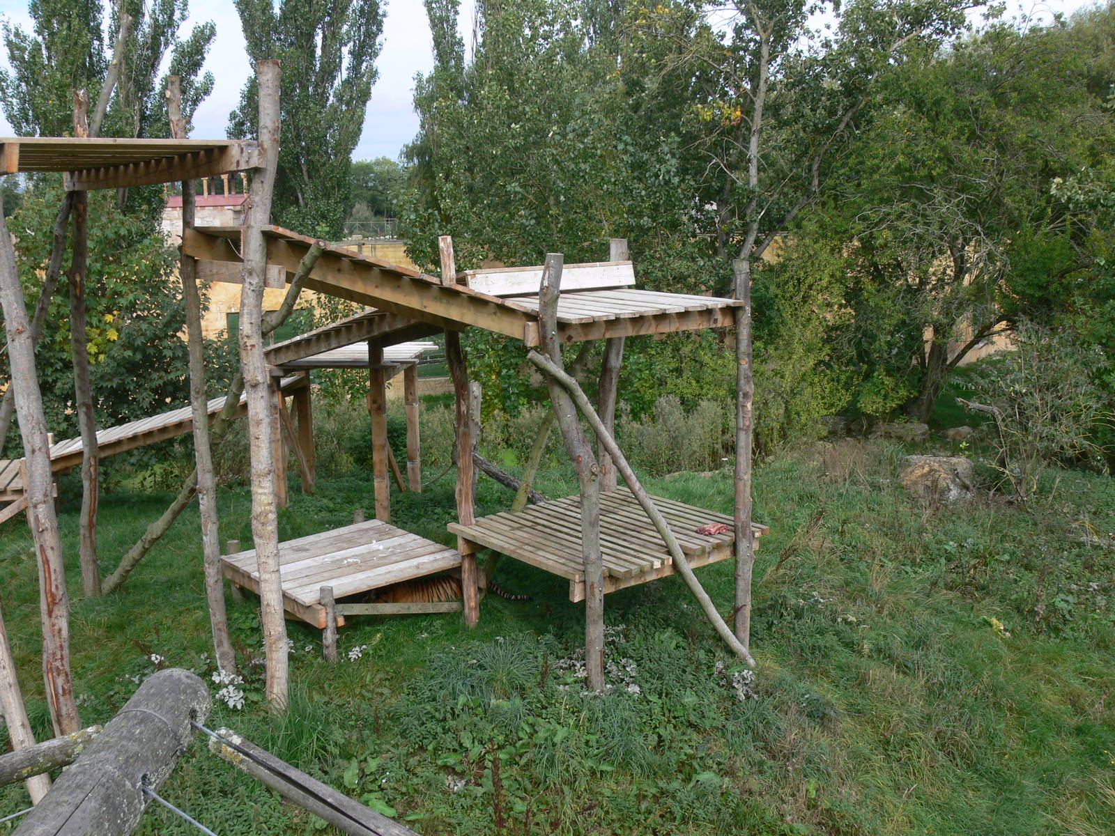 Tiger exhibit at Flamingo Land, 21/09/13