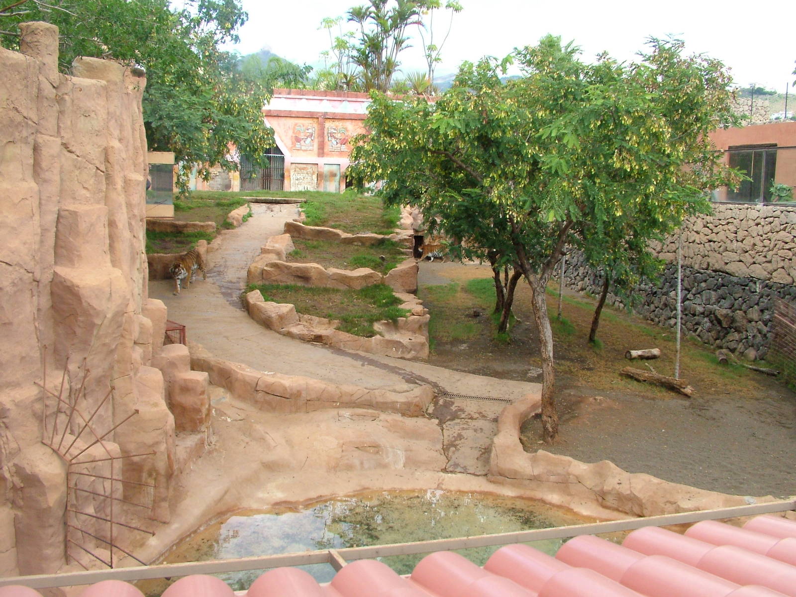 Tiger Exhibit at Jungle Park (Las Aguilas), 13/11/10