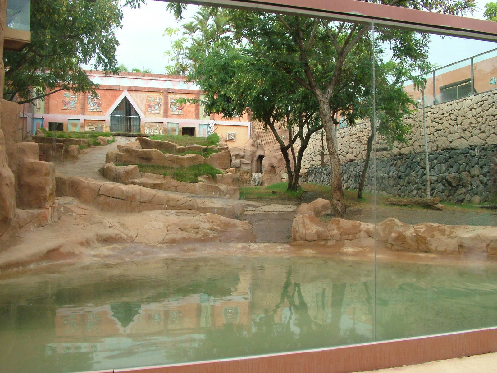 Tiger Exhibit at Jungle Park (Las Aguilas), 13/11/10