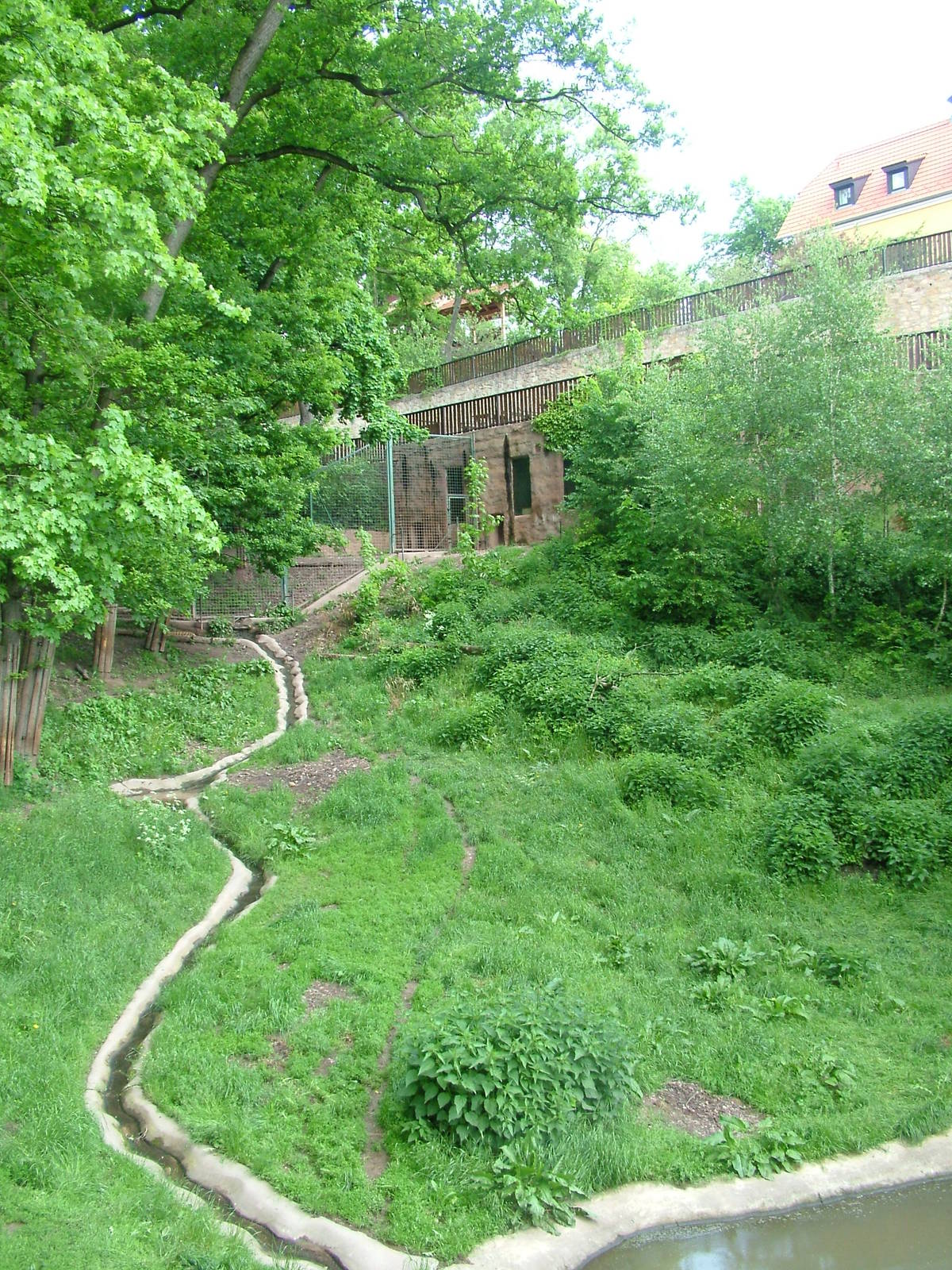 Tiger exhibit at Plzen, 25/05/10
