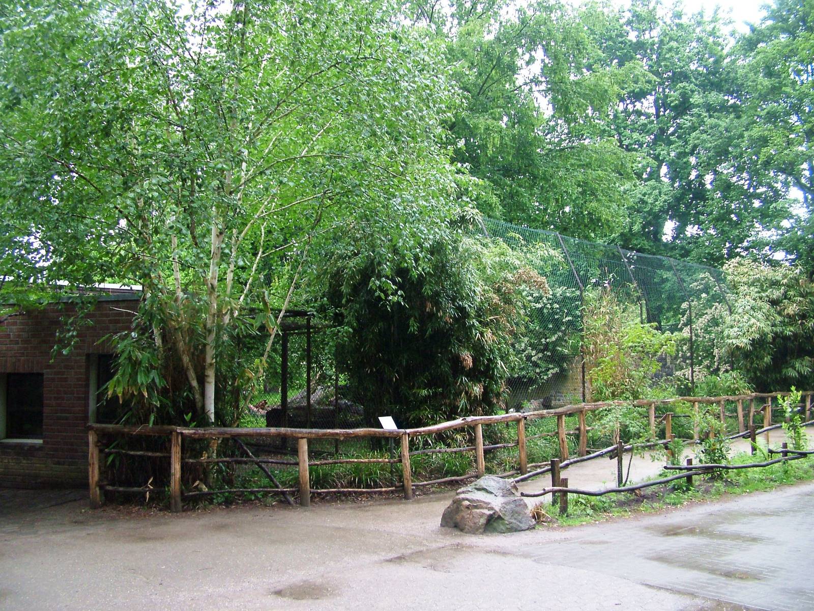 Tiger Exhibit at Rheine, 03/06/12