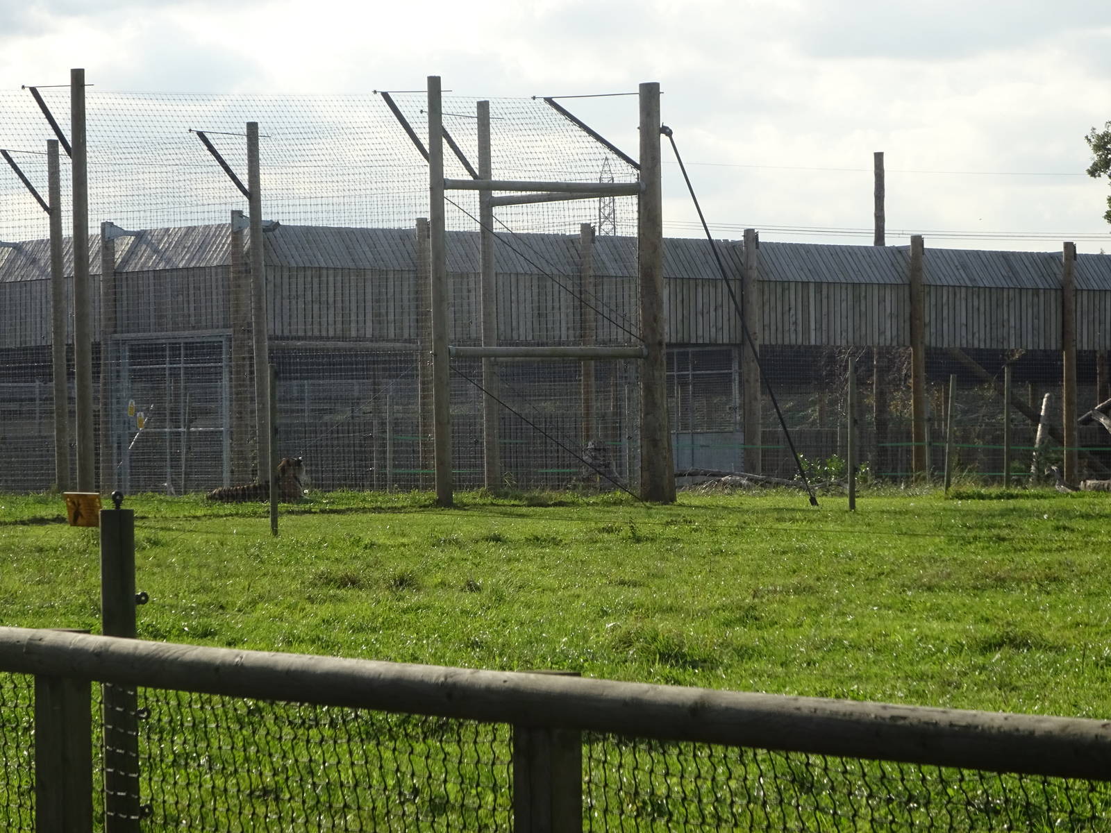 Tiger Exhibit at Yorkshire Wildlife Park