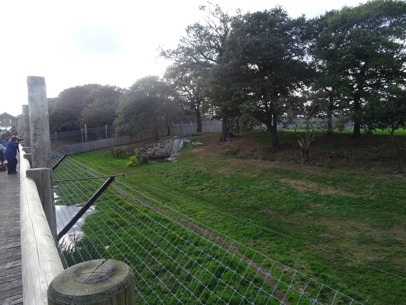 Tiger Exhibit at Yorkshire Wildlife Park