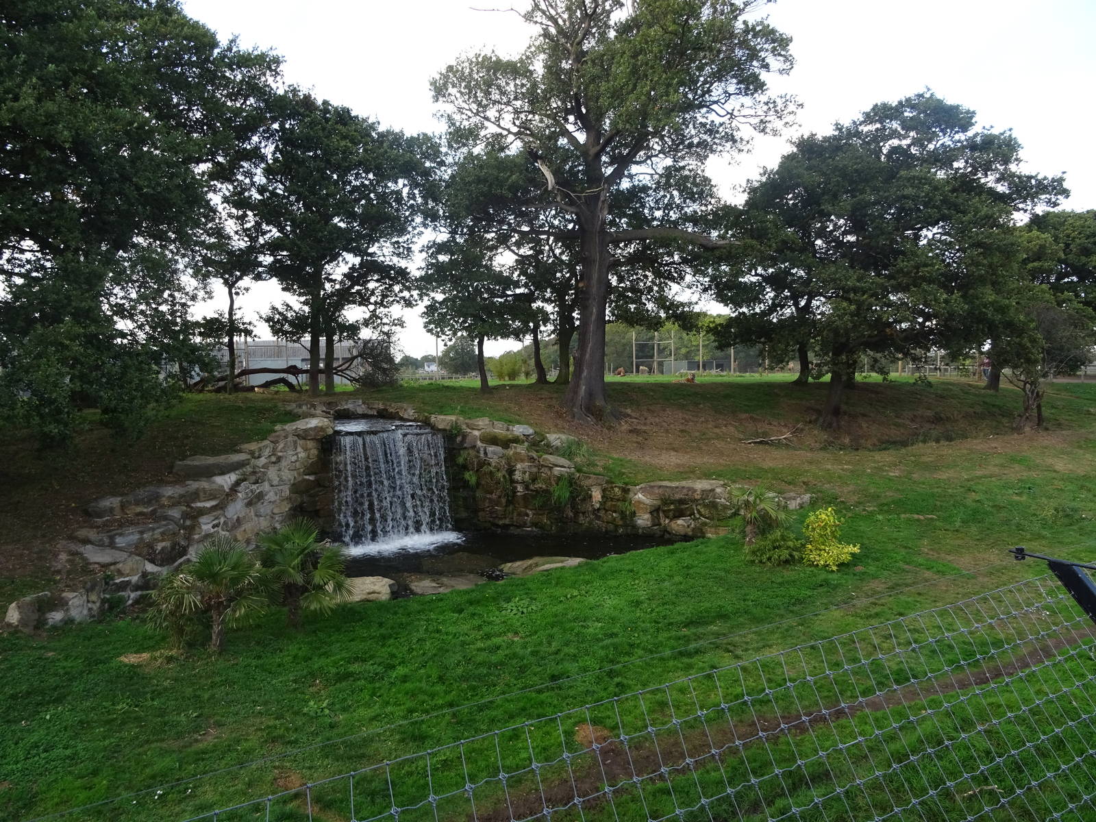 Tiger Exhibit at Yorkshire Wildlife Park