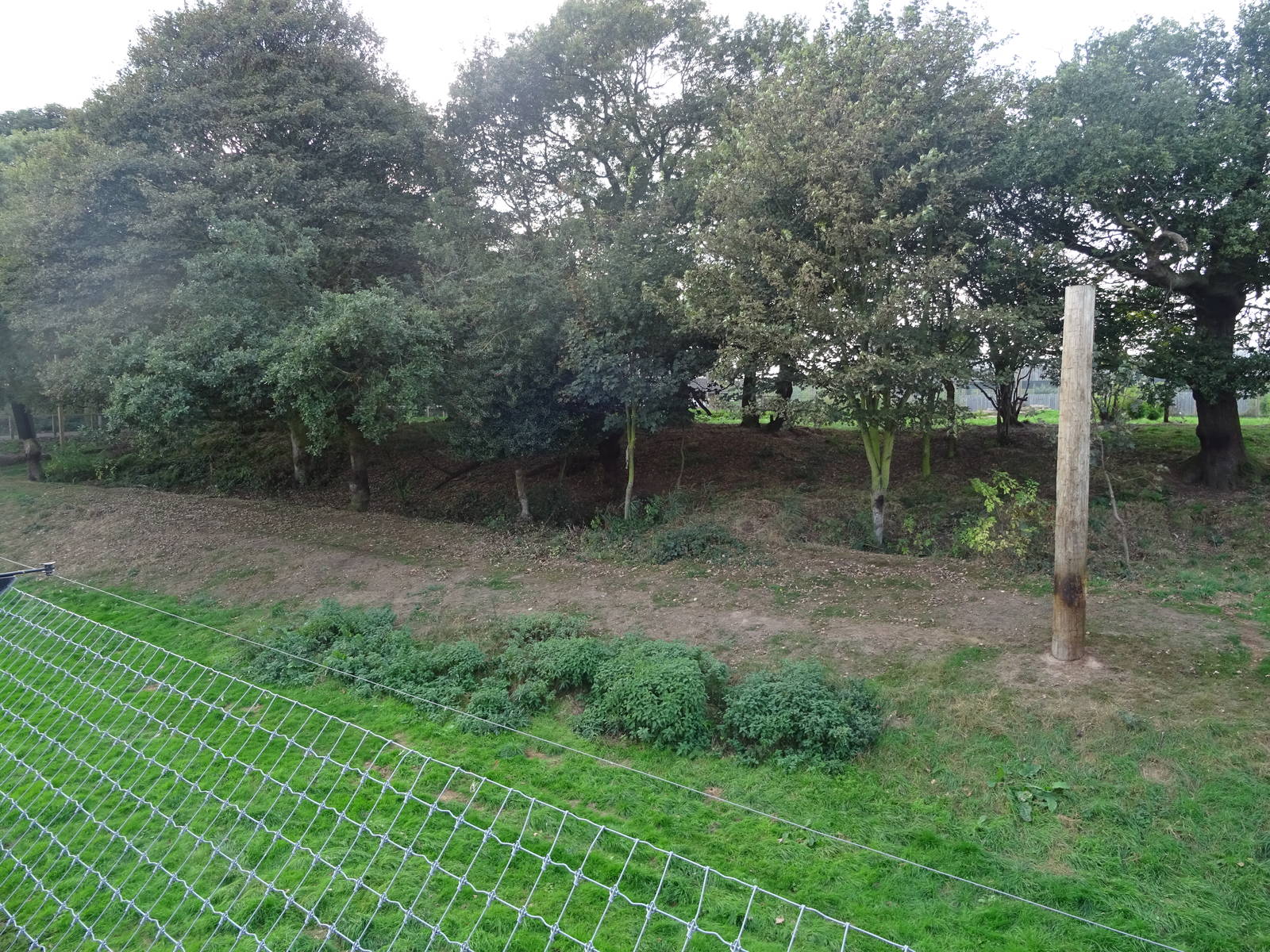 Tiger Exhibit at Yorkshire Wildlife Park