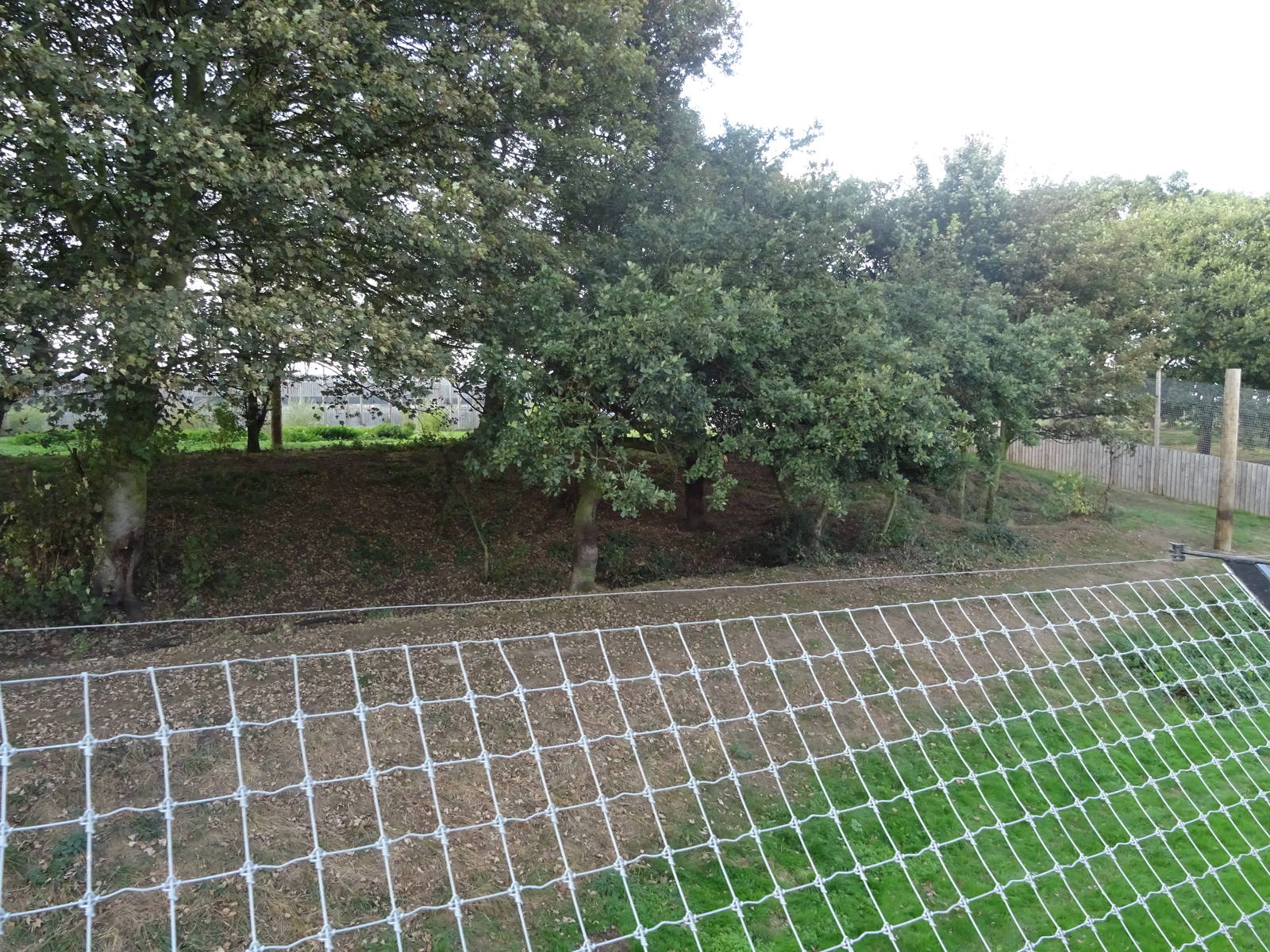 Tiger Exhibit at Yorkshire Wildlife Park