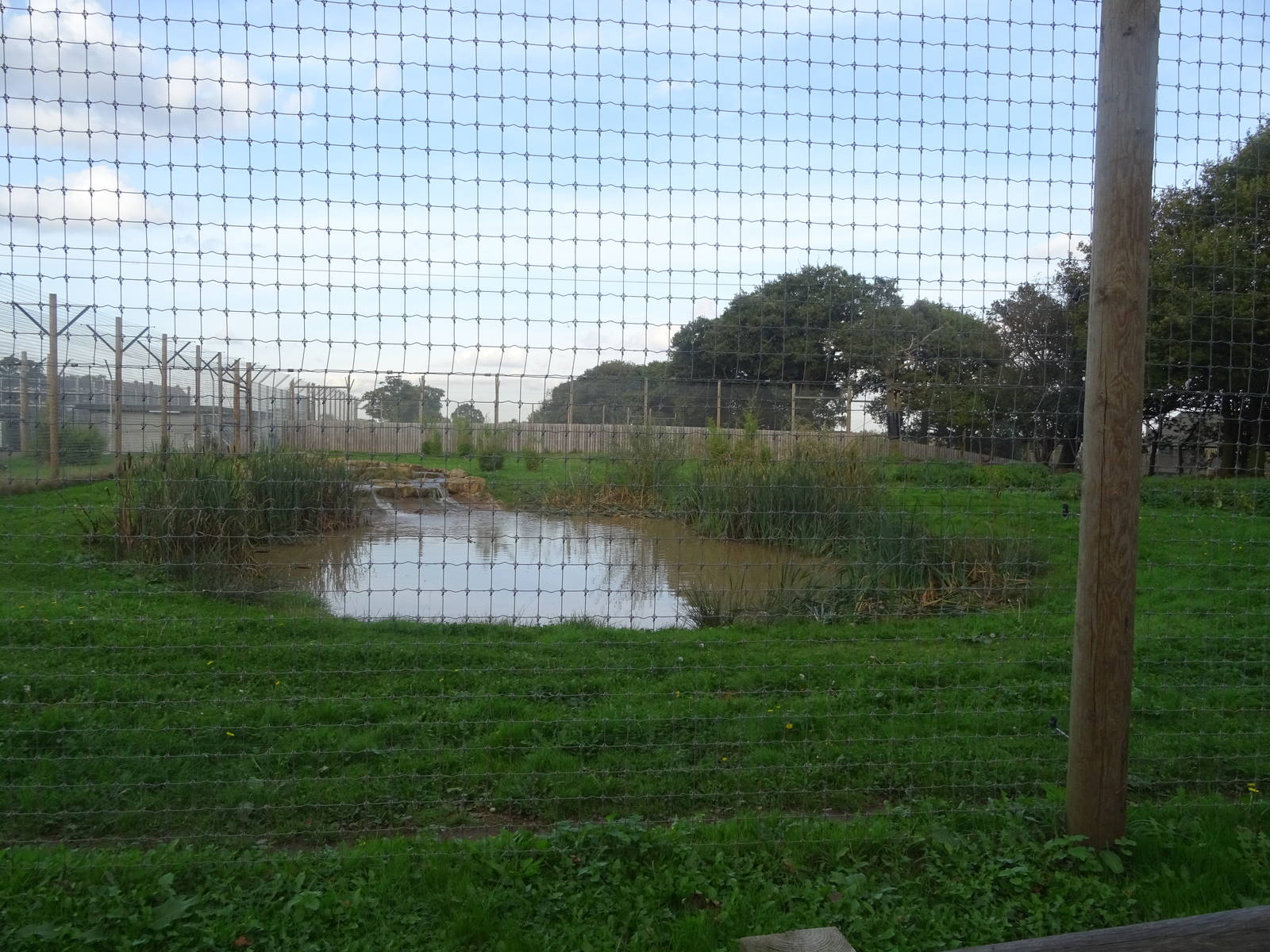 Tiger Exhibit at Yorkshire Wildlife Park