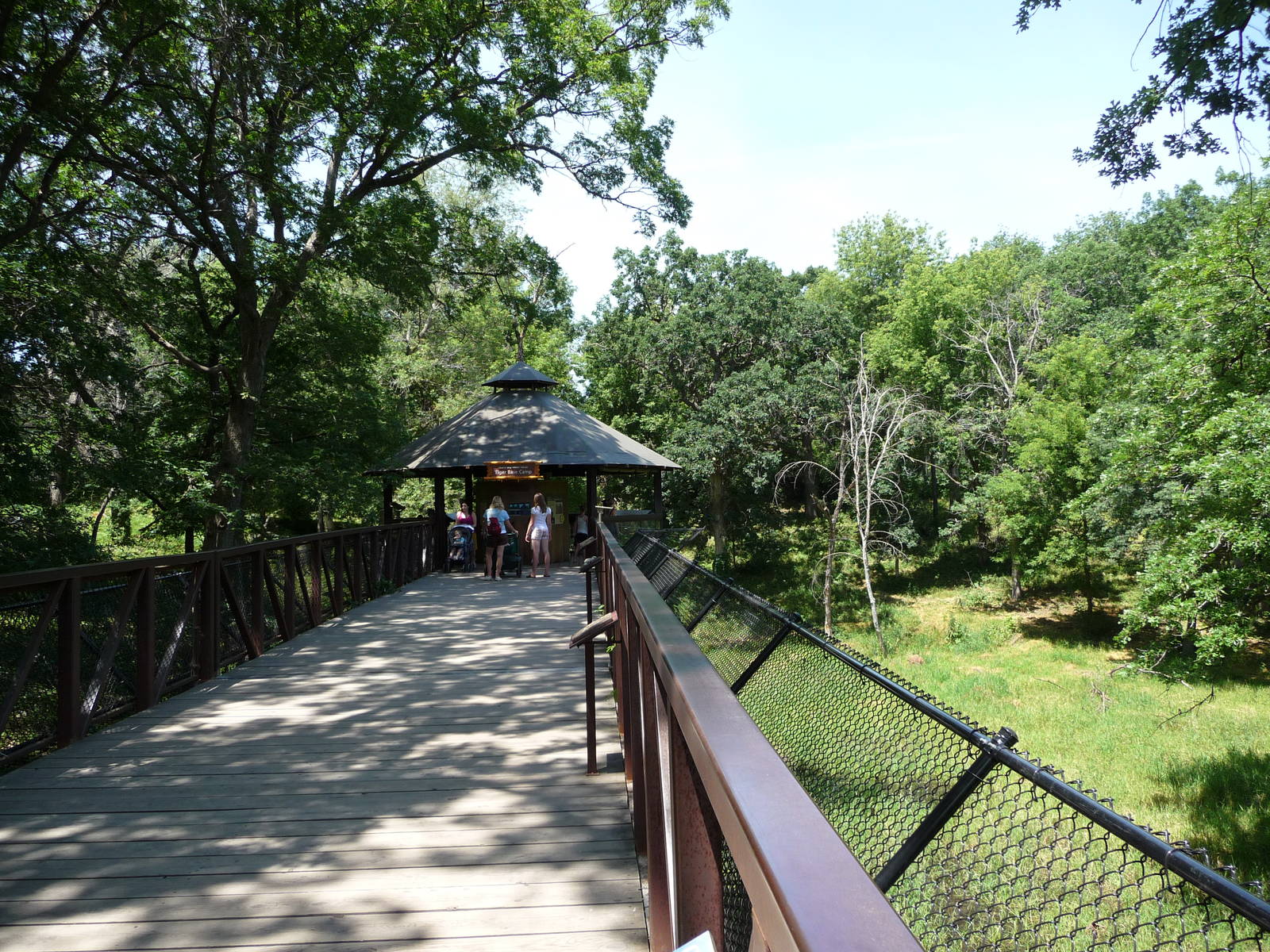 Tiger Exhibit Boardwalk - Minnesota Zoo