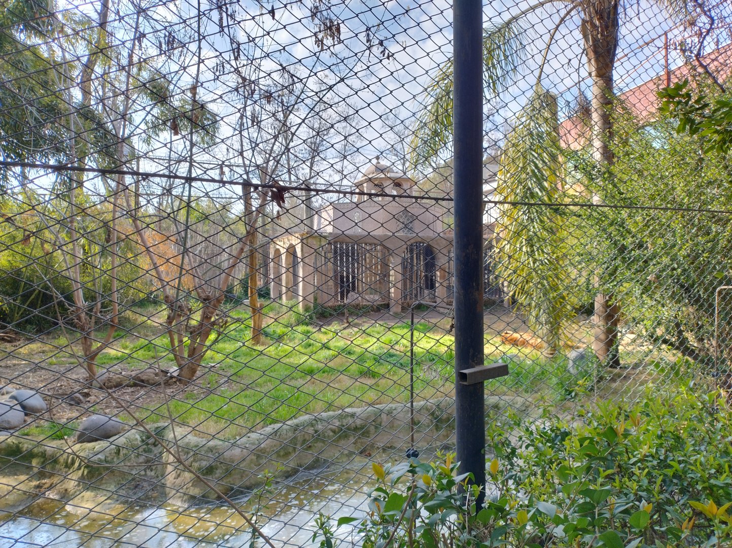 Tiger exhibit - Buin zoo