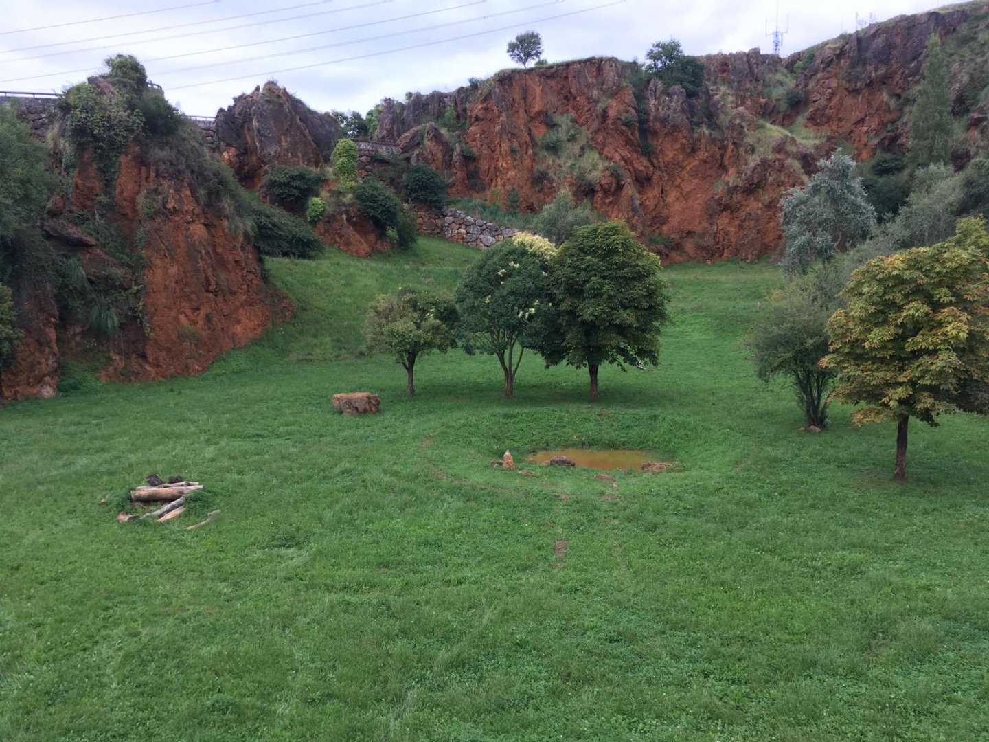 Tiger exhibit-Cabarceno 2019
