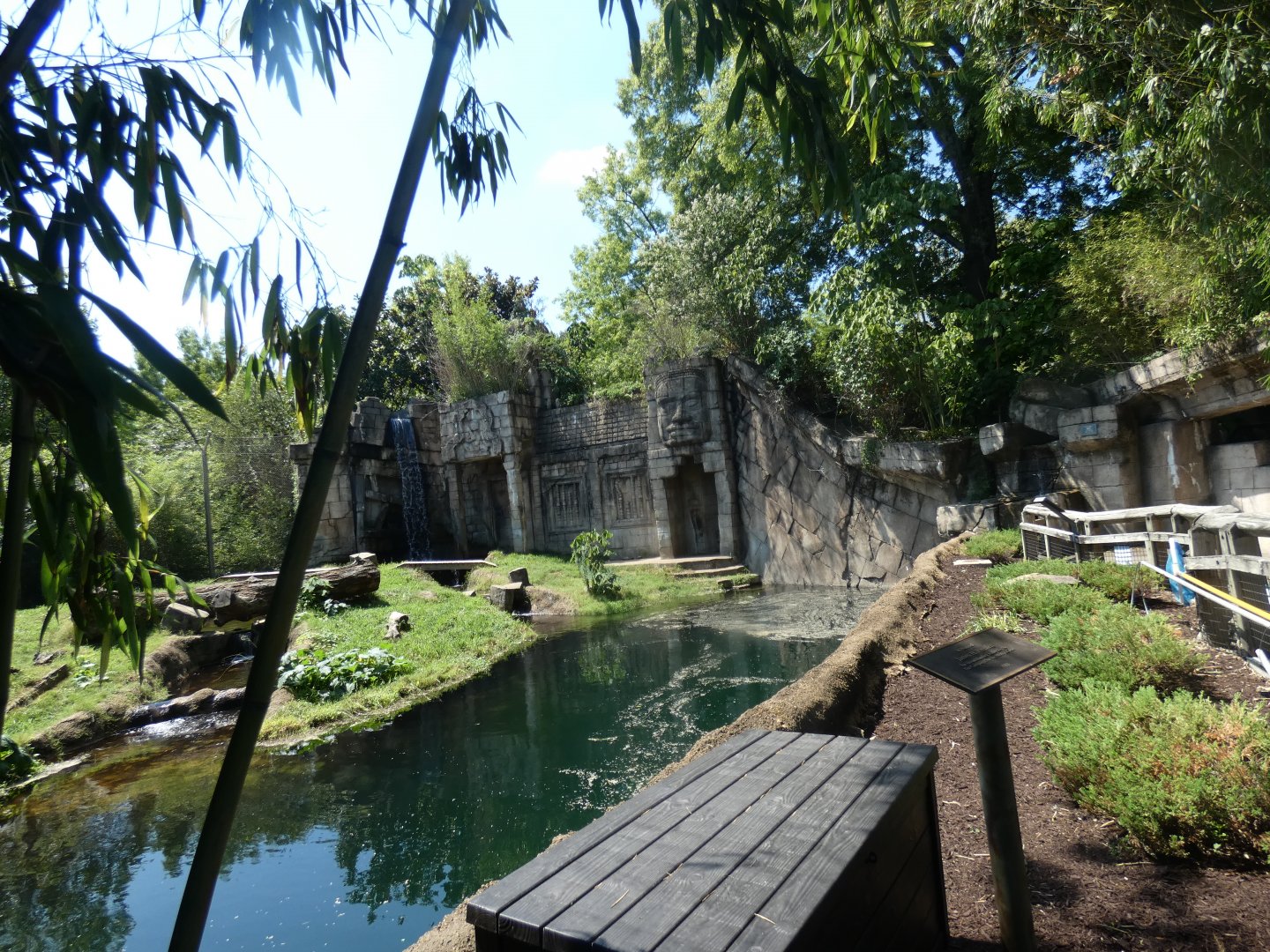 Tiger Exhibit, Cat Country, Aug. 2020