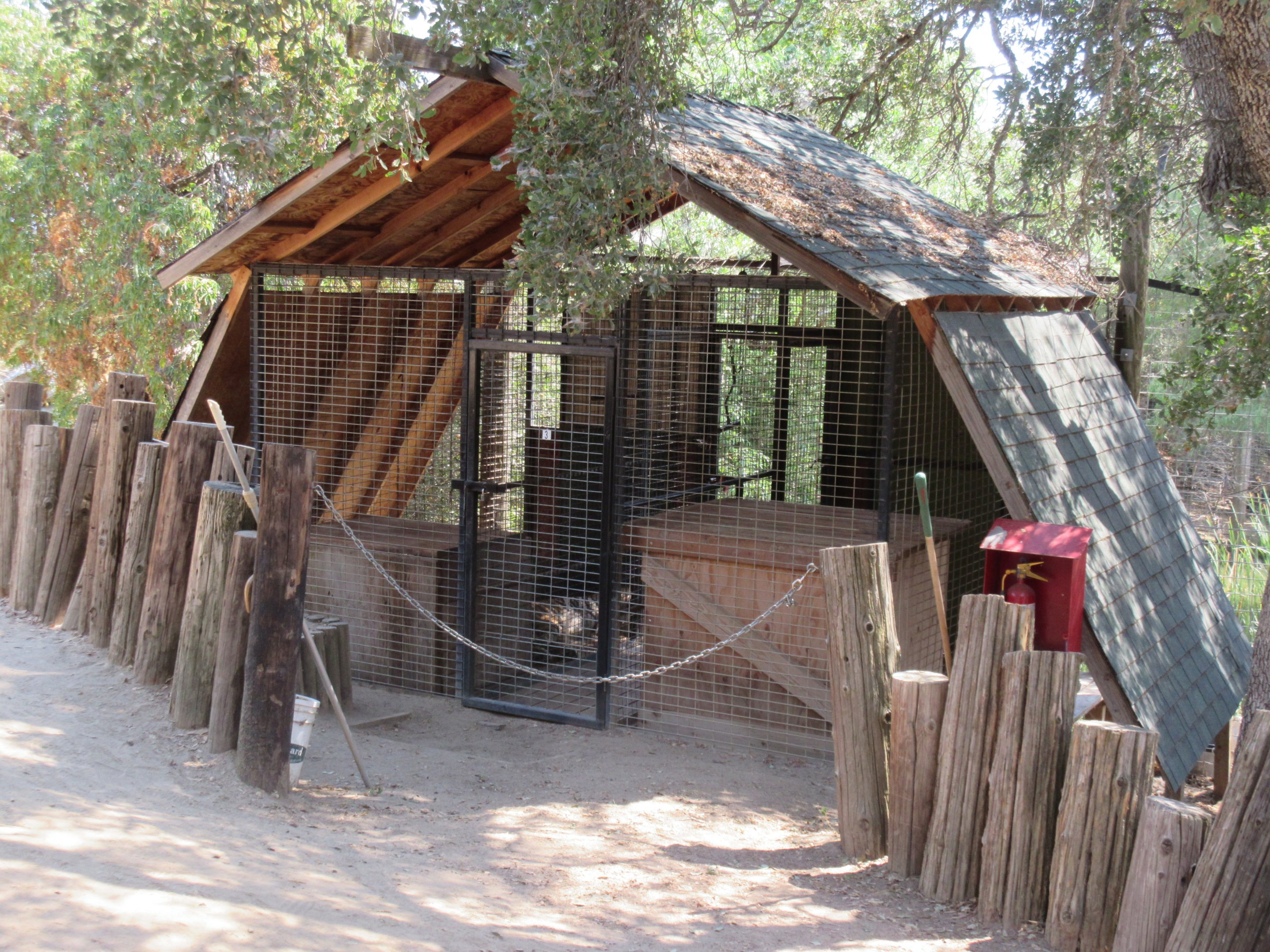 Tiger Exhibit - den area