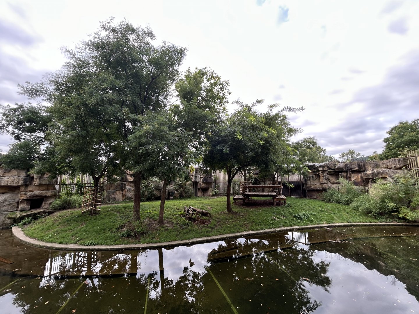 Tiger Exhibit - Feline\Reptile House