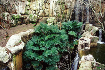 tiger exhibit, Fort Worth Zoo
