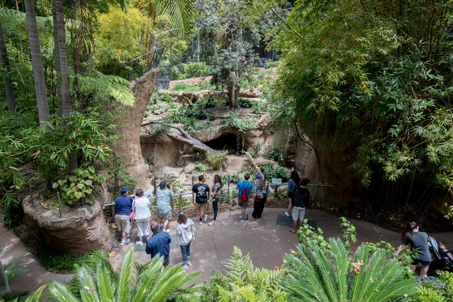 tiger exhibit (from bus)