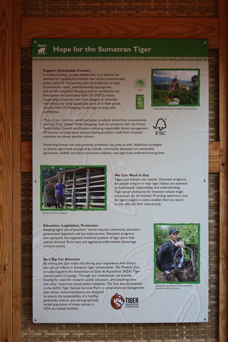 tiger exhibit graphics