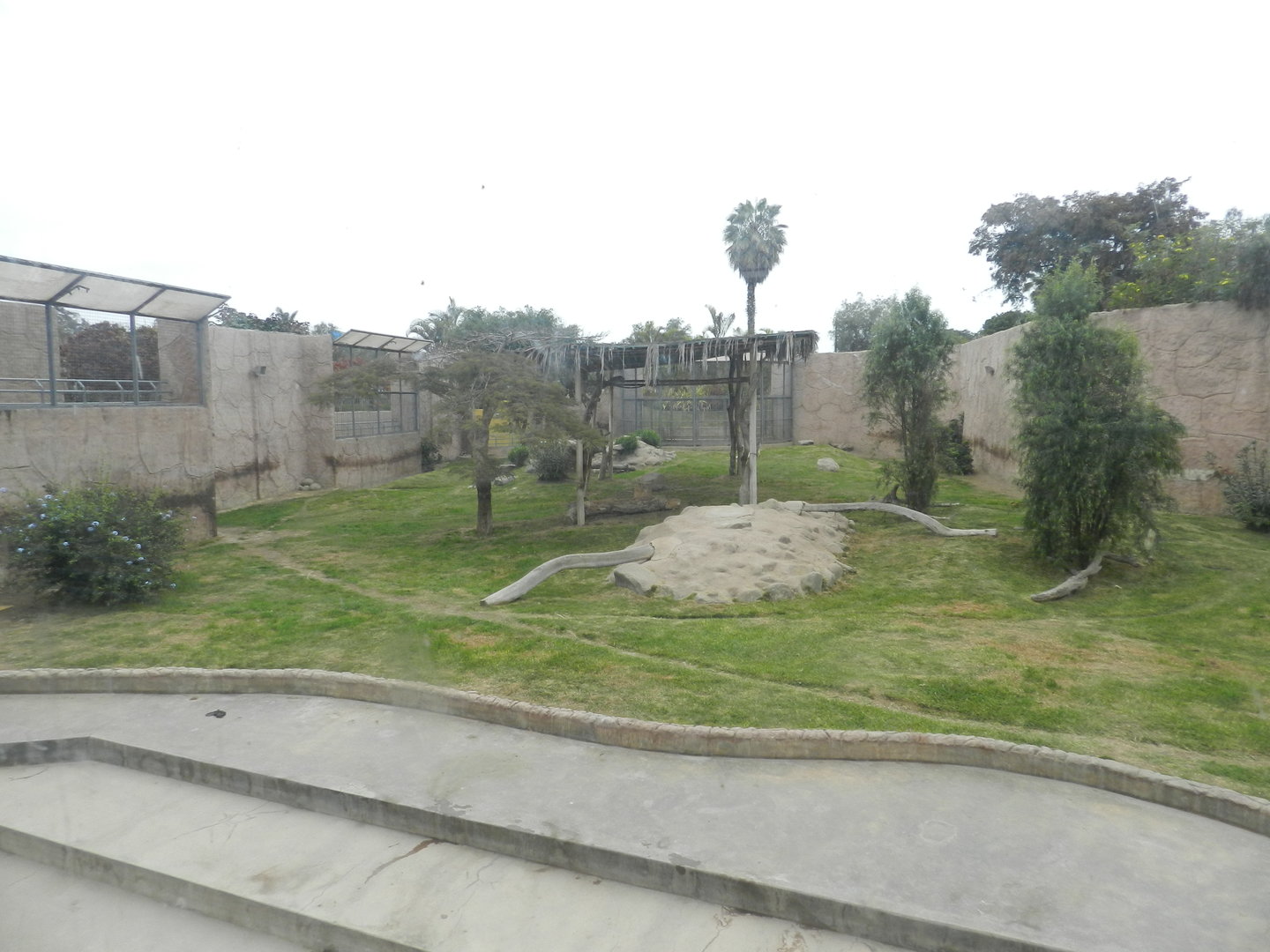 Tiger exhibit II - Parque de Las Leyendas