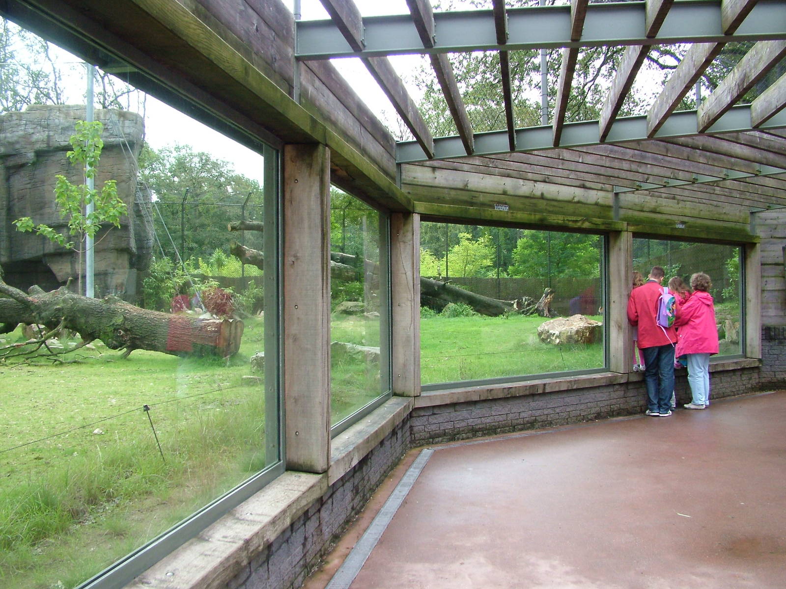 Tiger Exhibit in Burgers Rimba at Burgers Zoo Arnhem, 29/08/10