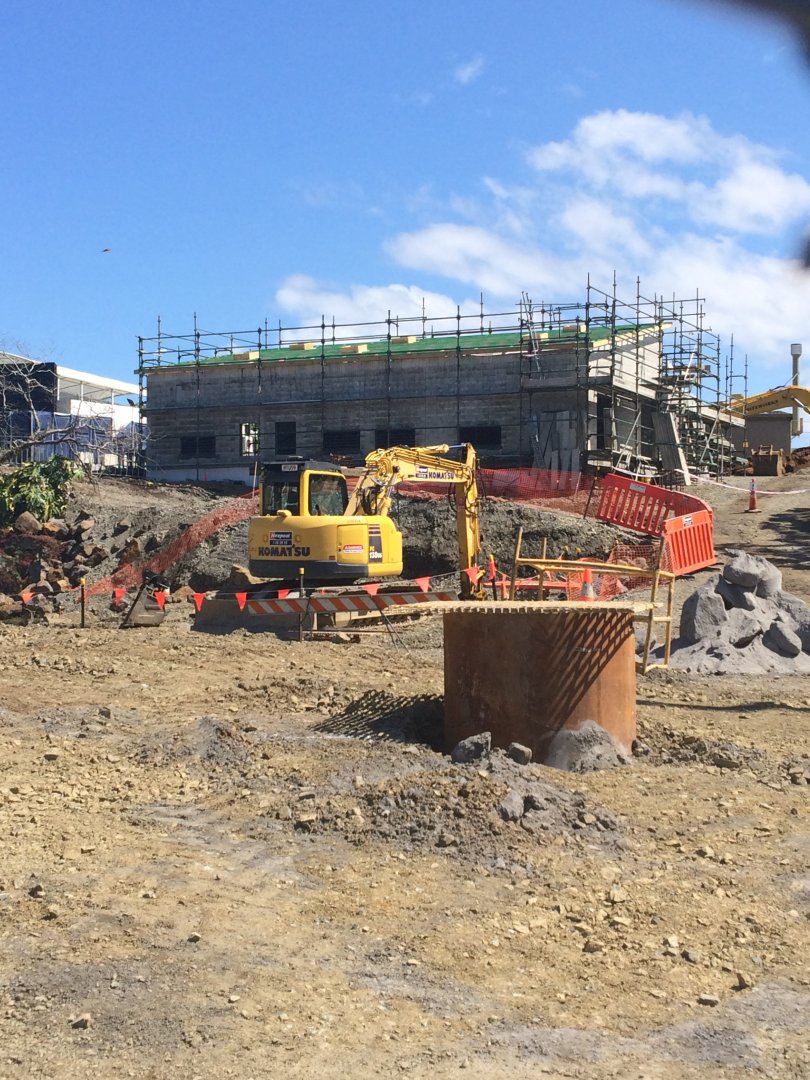 Tiger Exhibit In Progress