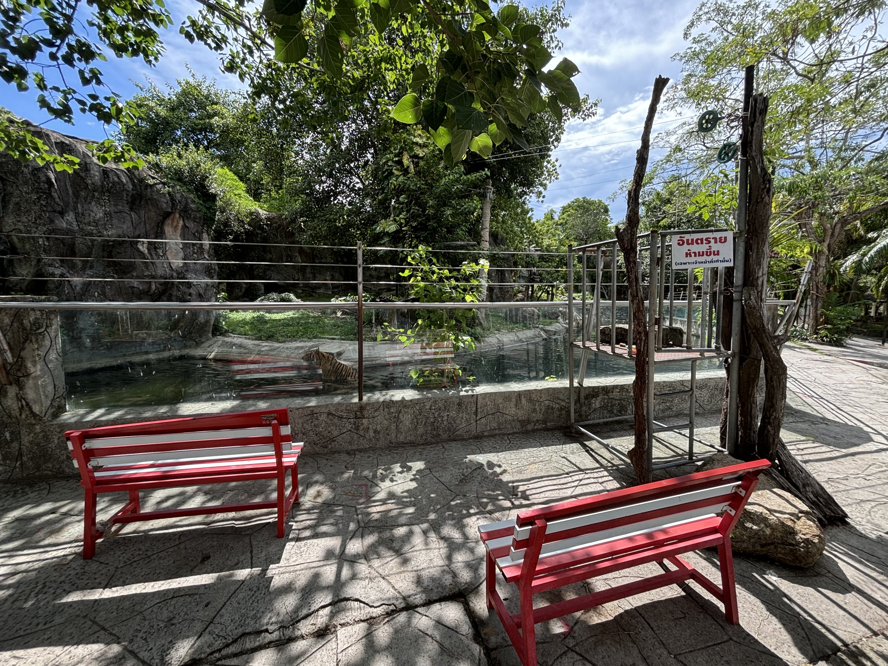 Tiger Exhibit - Indochinese