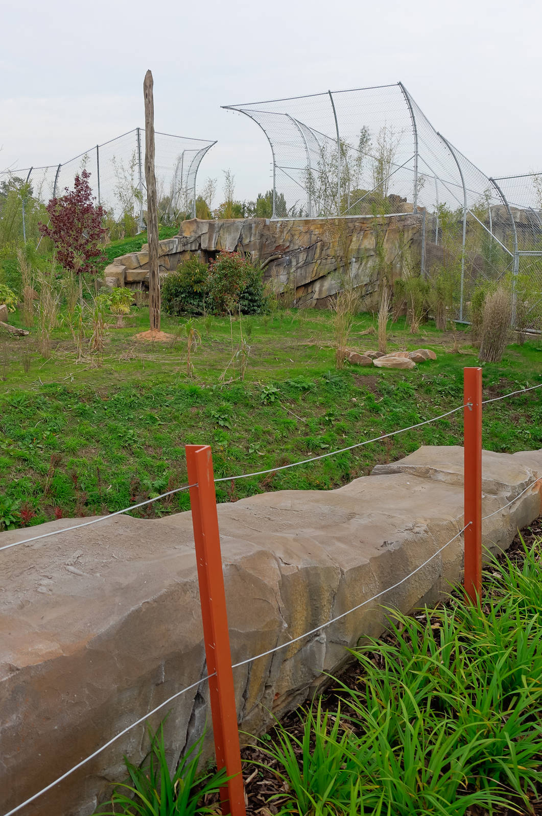 Tiger Exhibit - Islands - 11/10/2015